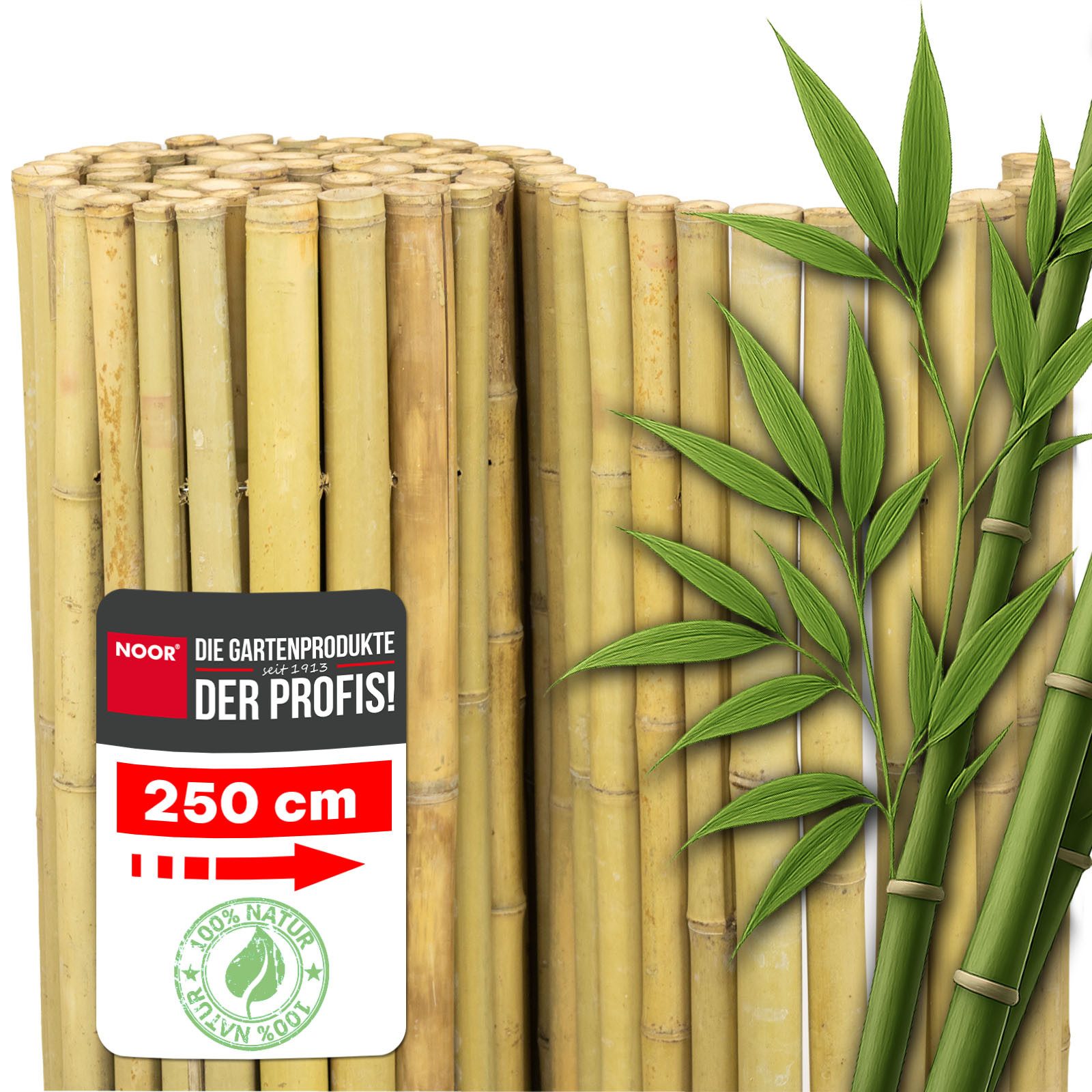 NOOR Sichtschutzzaunmatten Bambusmatte DELUXE - extra dicke Bambusstäbe, st günstig online kaufen
