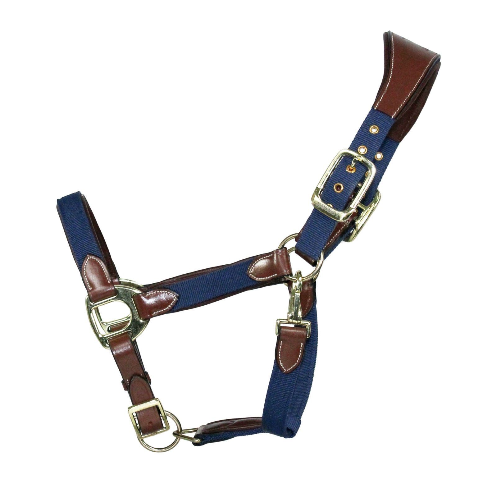 Halfter Halfter Unique für Pferde - Messing Finish, Cognac/Navy - M Vollblut