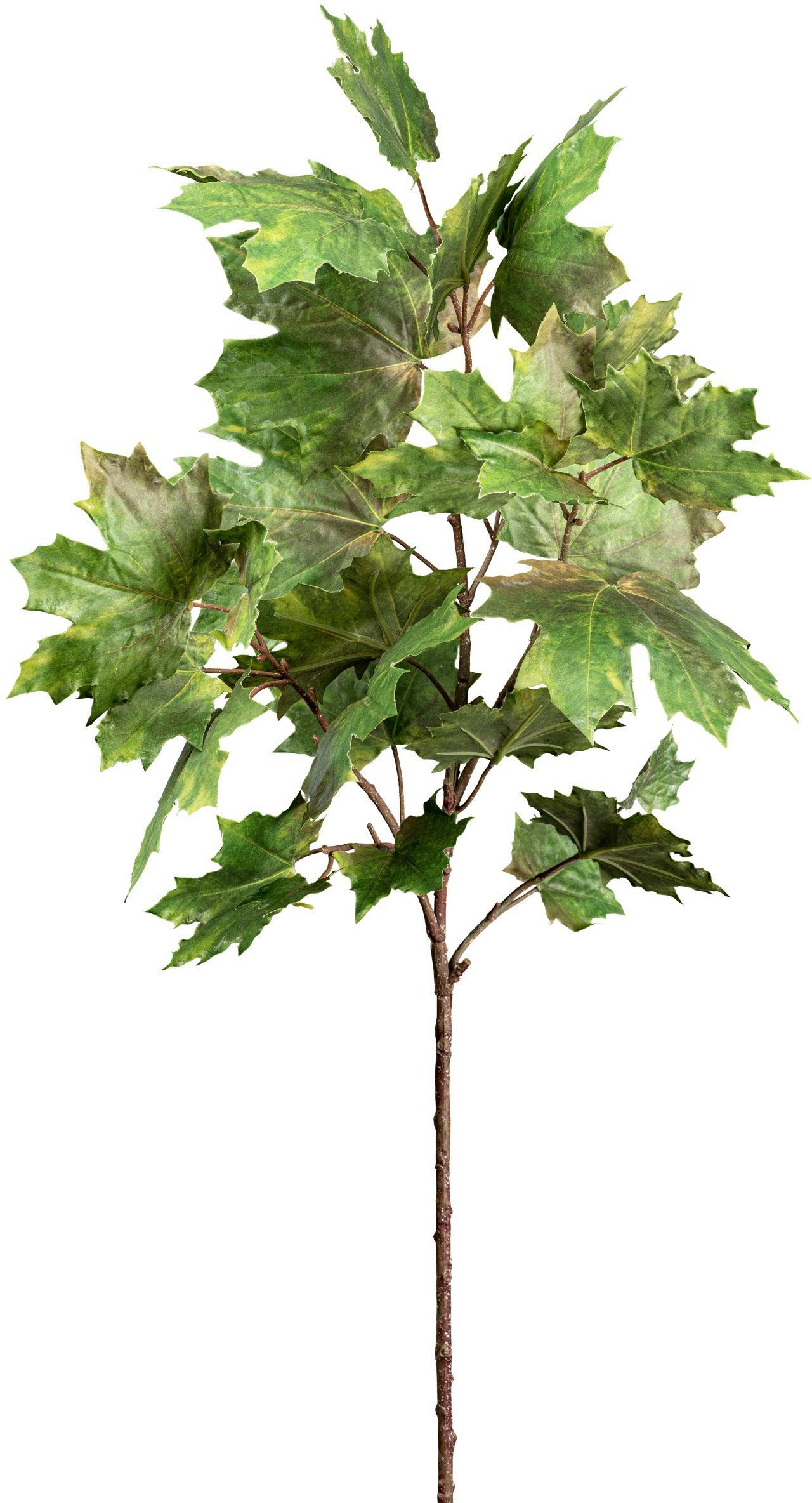 Kunstzweig Ahornzweig Ahorn, Creativ green, Höhe 110 cm, mit detailgetreuen günstig online kaufen