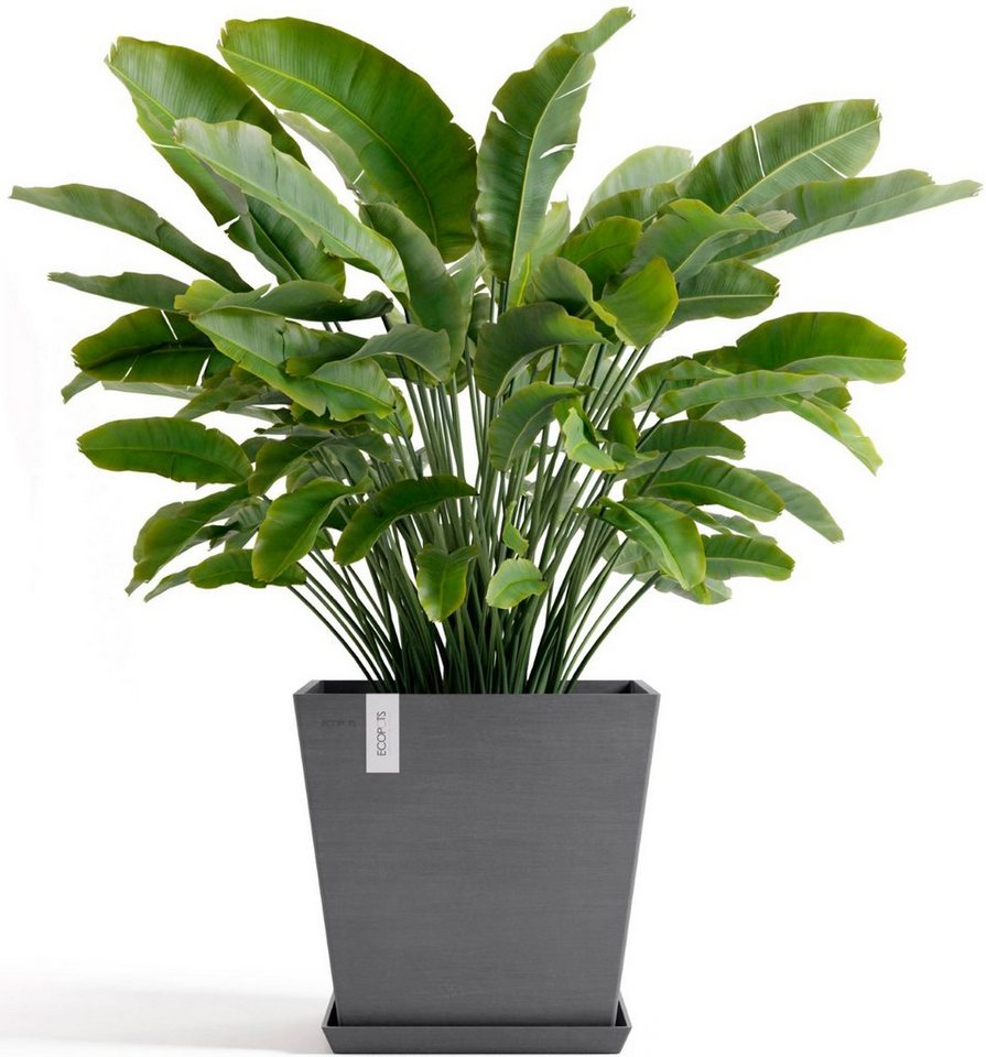 Thumbnail - ECOPOTS Blumentopf Rotterdam 45 + Wassersystem Grau, für innen und außen: frostsicher, bruchsicher und lichtbeständig