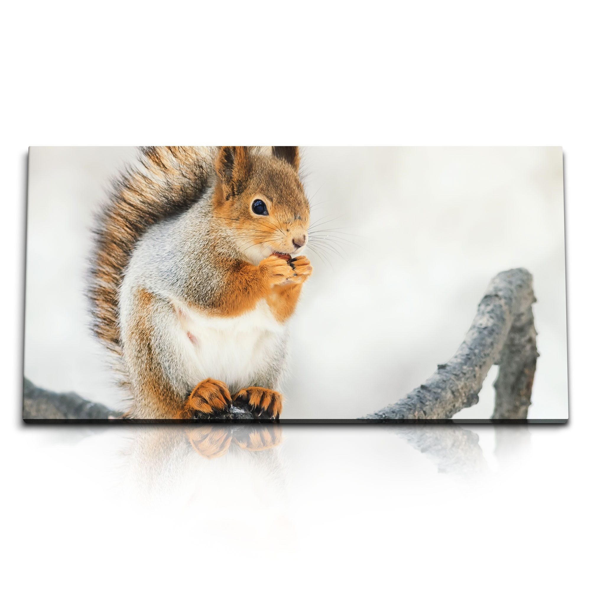 Leinwandbild Kunstdruck Bilder 120x60cm Eichhörnchen auf Ast Tierfotografie Süß
