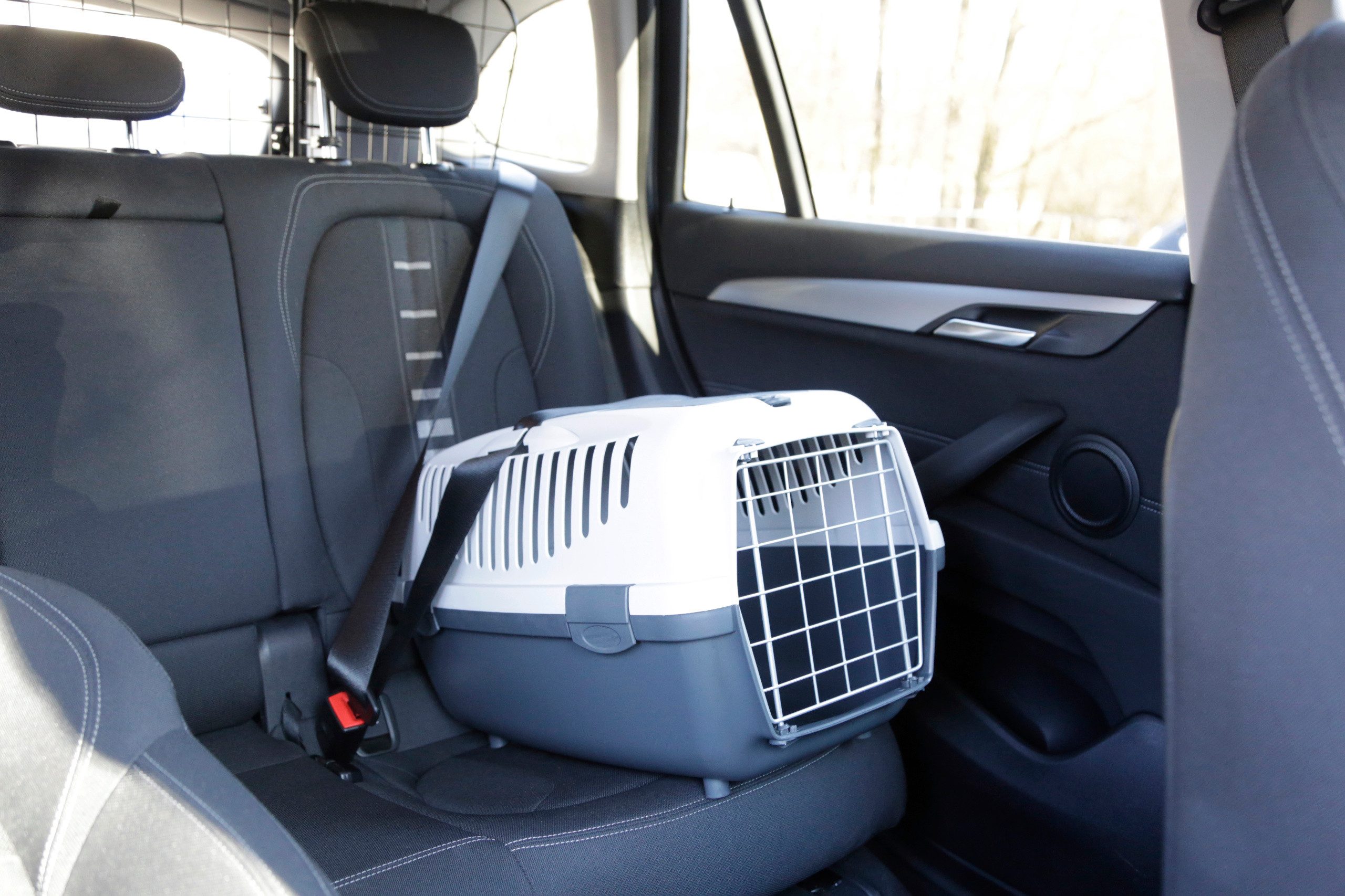 Kerbl Tiertransportbox