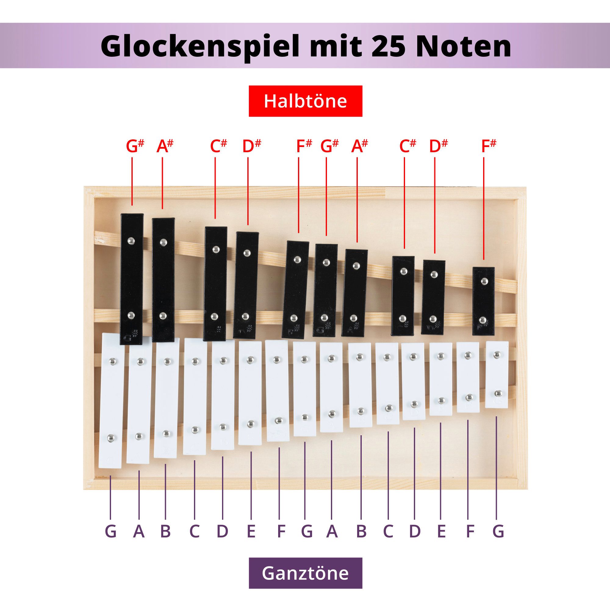 Classic Cantabile Glockenspiel Glockenspiel mit Holzbox Chromatisch - für musikalische Frühstarter, Inkl. praktischem Holzkoffer und 2 Schlägeln, Chromatisch 25 – Bild 4 von 5