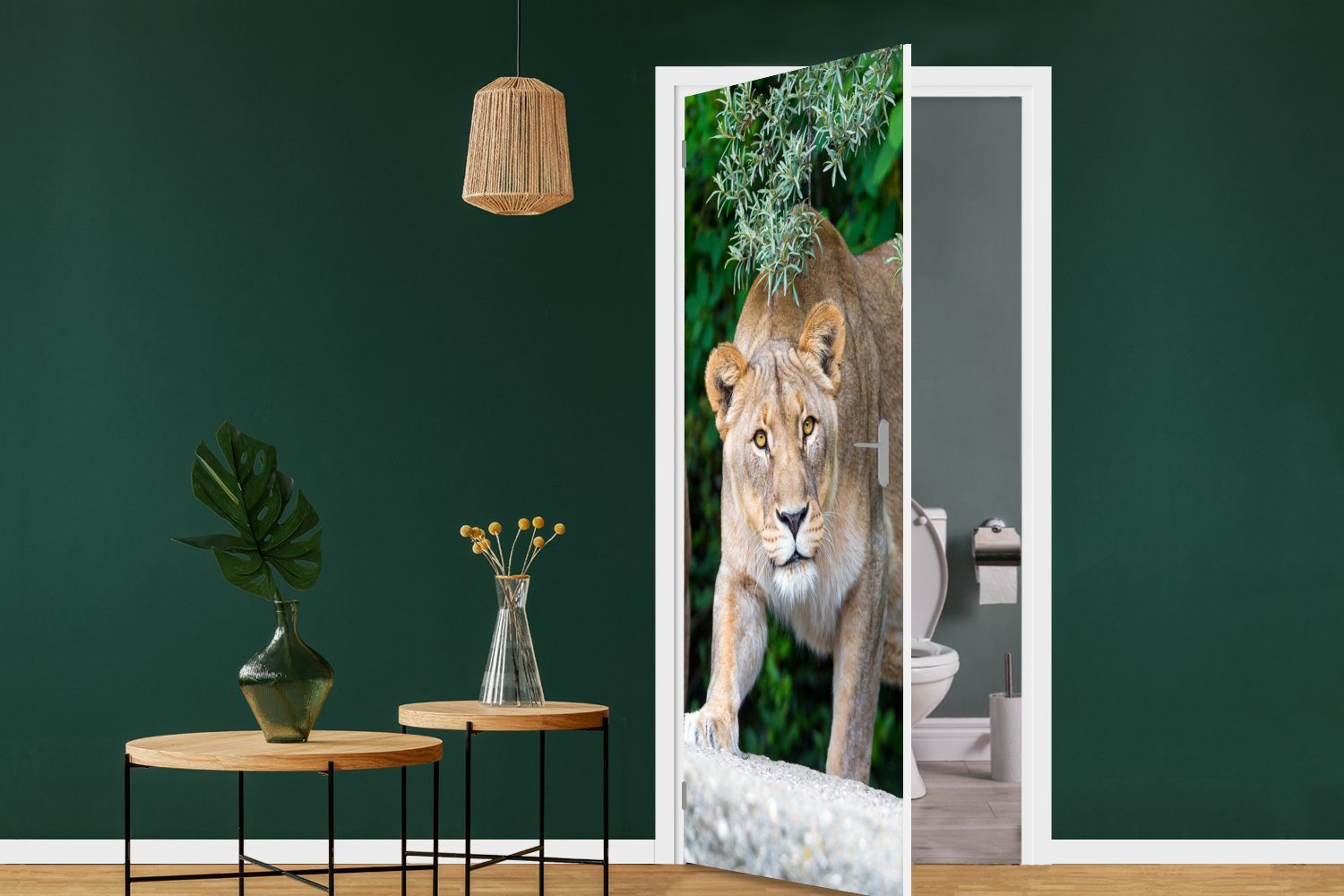 cm 75x205 - Tür, bedruckt, Türaufkleber, St), Jagd, Matt, für MuchoWow Fototapete (1 Türtapete Tiere Wilde Löwinnen -