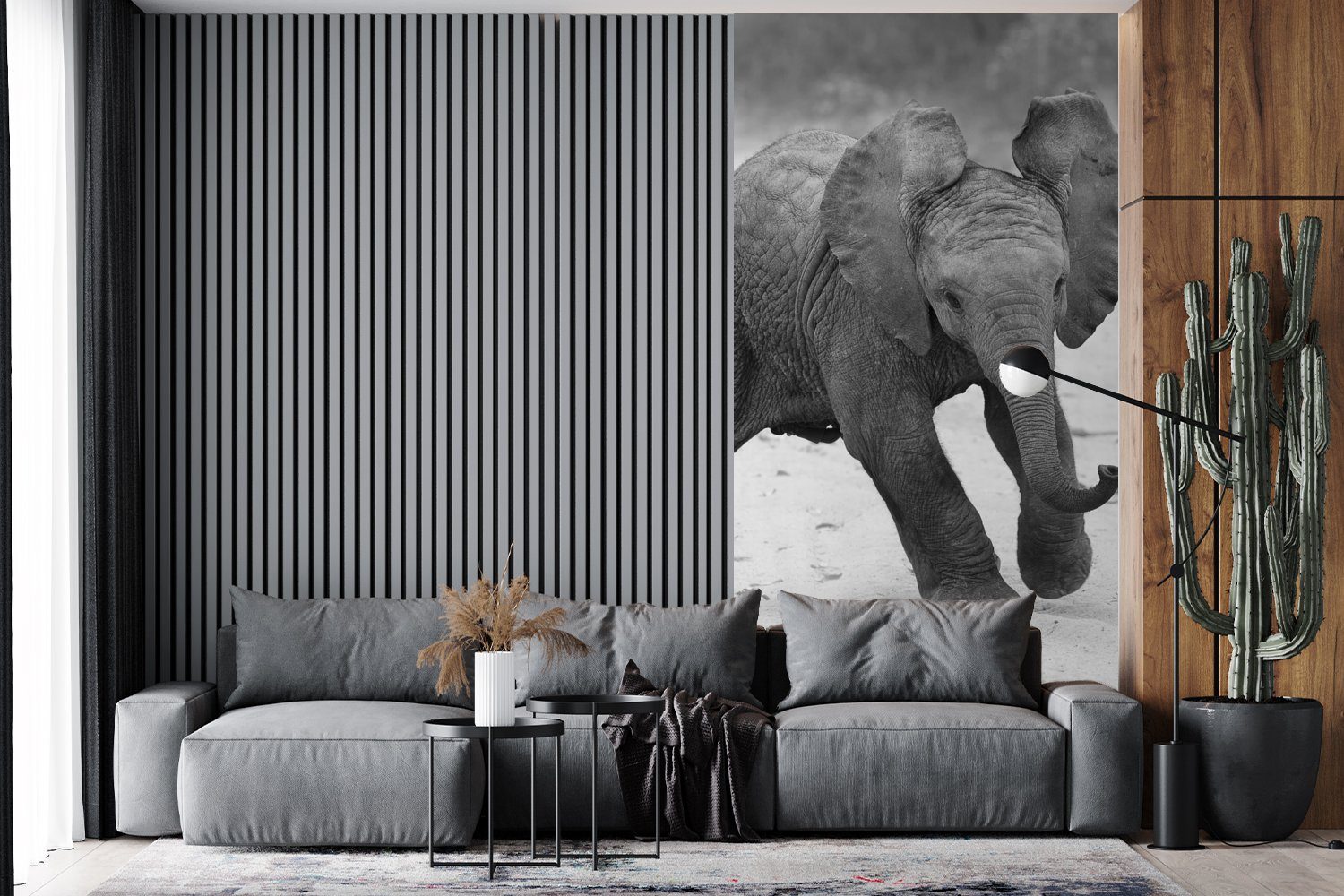 Schwarz (2 Schlafzimmer für Kröte Fototapete Küche, Tiere - und St), bedruckt, Wohnzimmer Elefant Matt, - - weiß, Baby Vliestapete Fototapete - MuchoWow