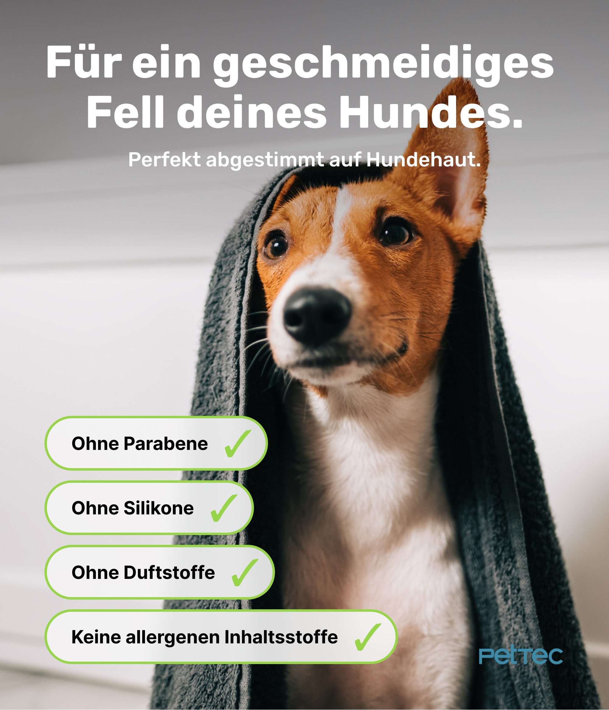 PetTec Tiershampoo Hundeconditioner Avocadoöl, 250 ml, Vegan, Made in Germany, allergenfrei
