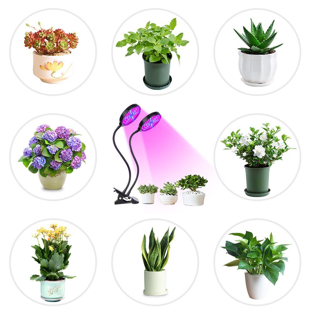 Rosnek Pflanzenlampe Voll Spektrum, Verstellbarer Schwanenhals,mit günstig online kaufen