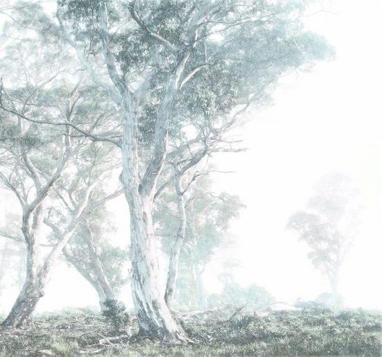 Komar Fototapete »Magic Trees«, glatt, minimalistisch, abstrakt, (Packung)