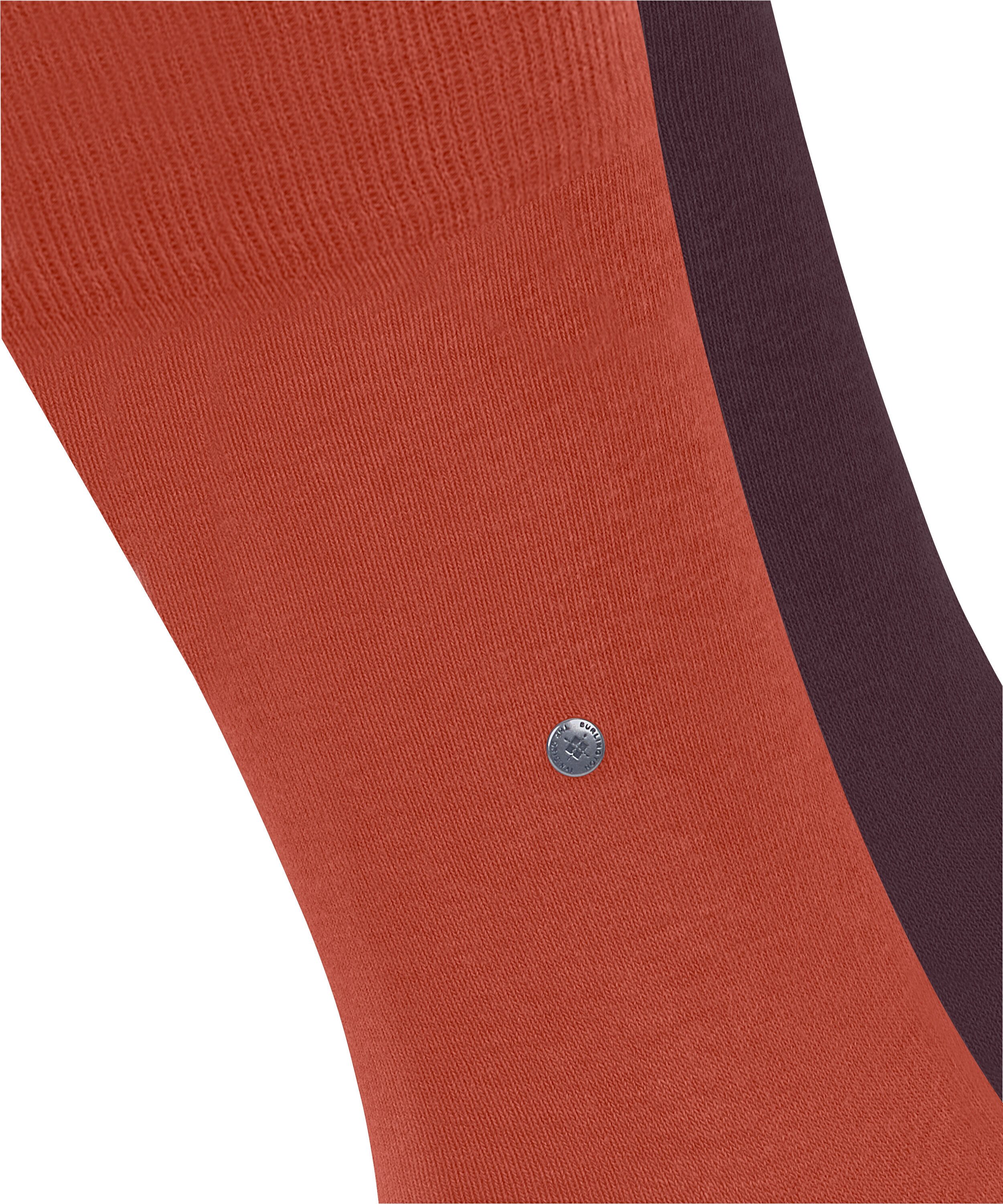 Burlington Socken Everyday 2-Pack (2-Paar) aus weicher gekämmter Baumwolle