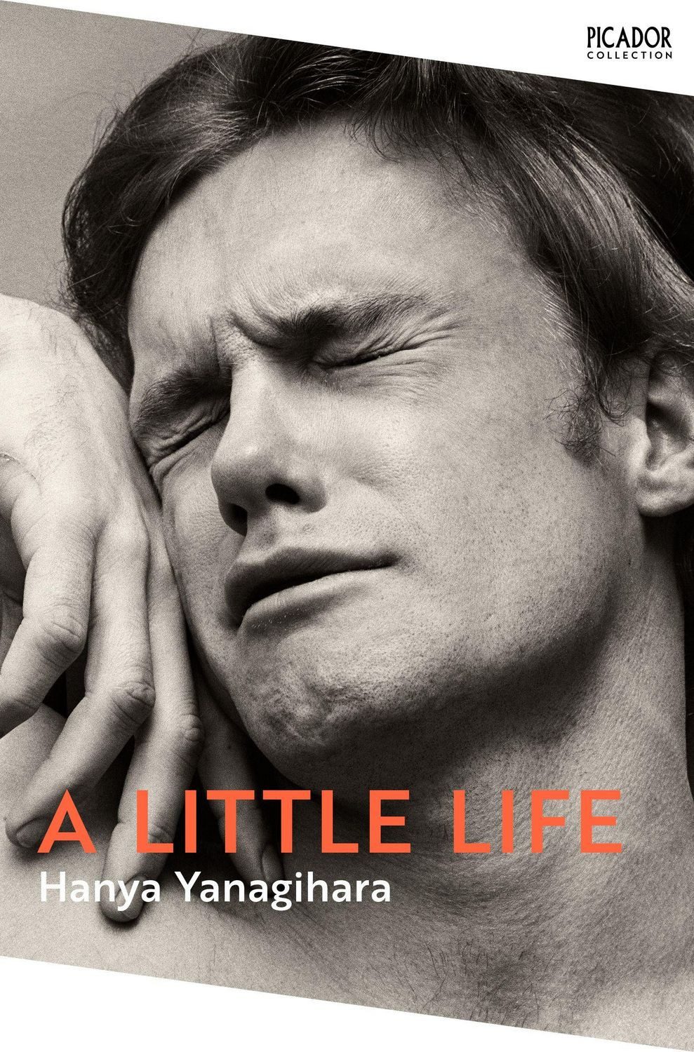 A Little Life / Hanya Yanagihara