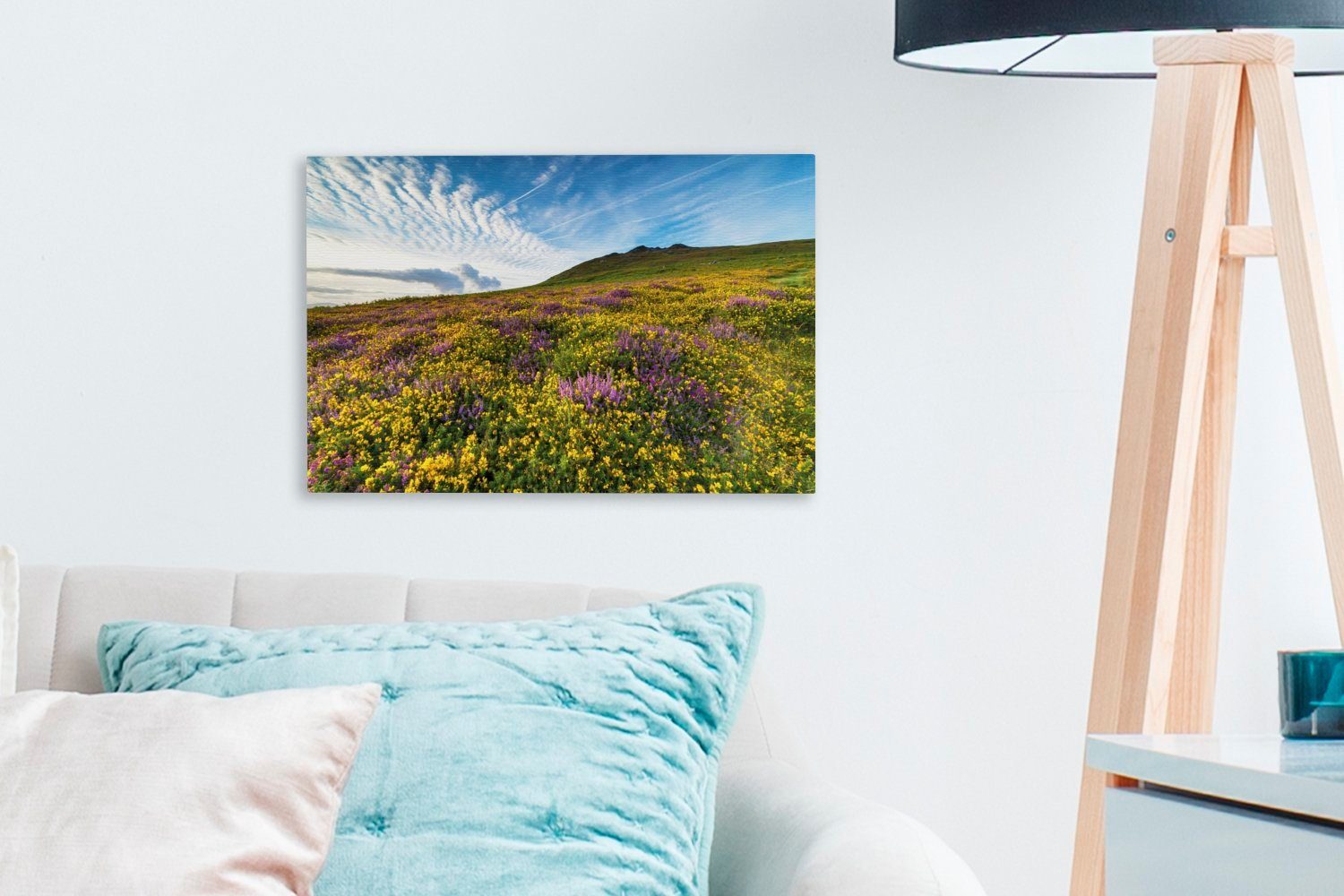 OneMillionCanvasses® Leinwandbild Wildblumen Pembrokeshire Wanddeko, Leinwandbilder, Coast cm Wandbild Park National (1 im Aufhängefertig, St), England, 30x20 in