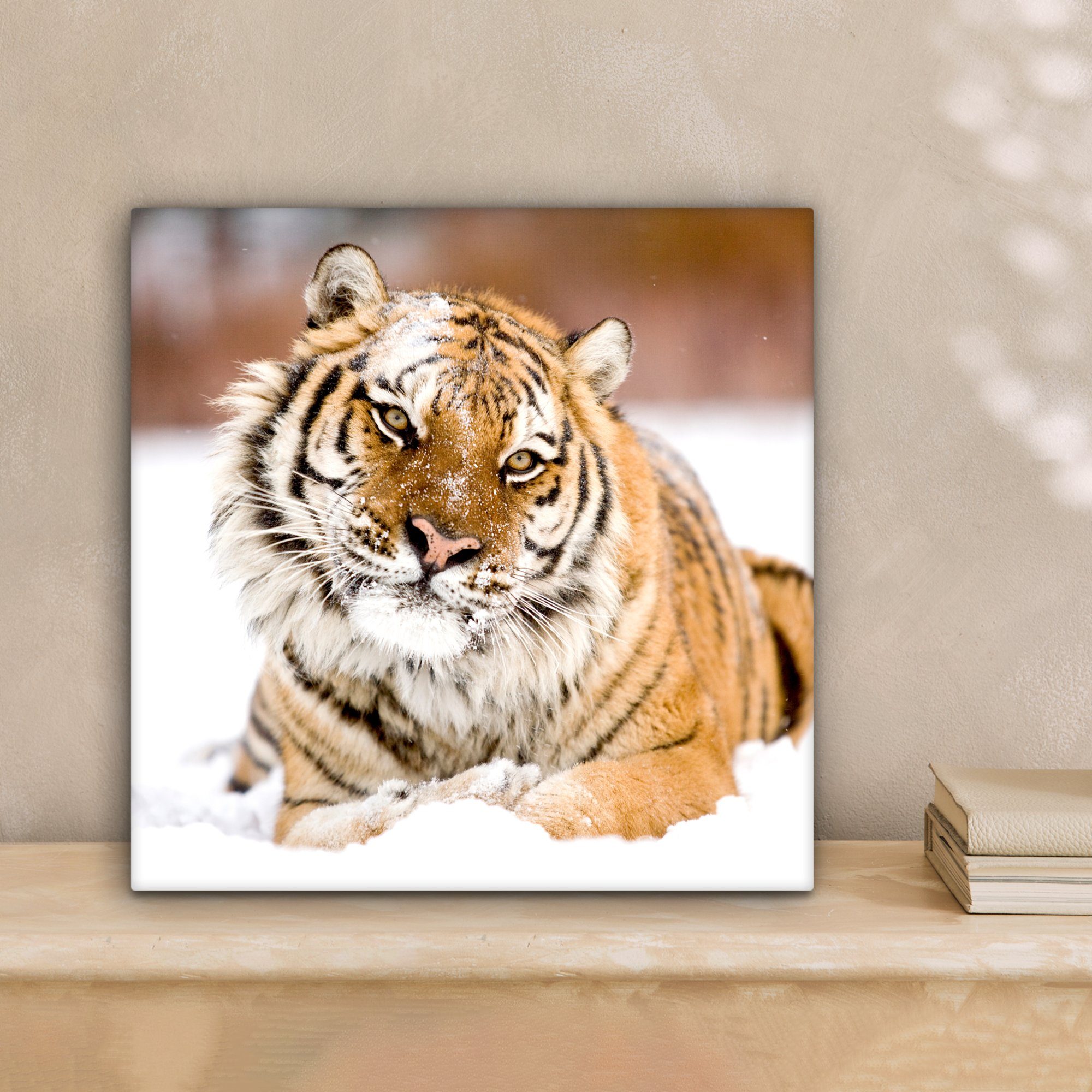 OneMillionCanvasses® Leinwandbild Tiger - Schnee - günstig online kaufen