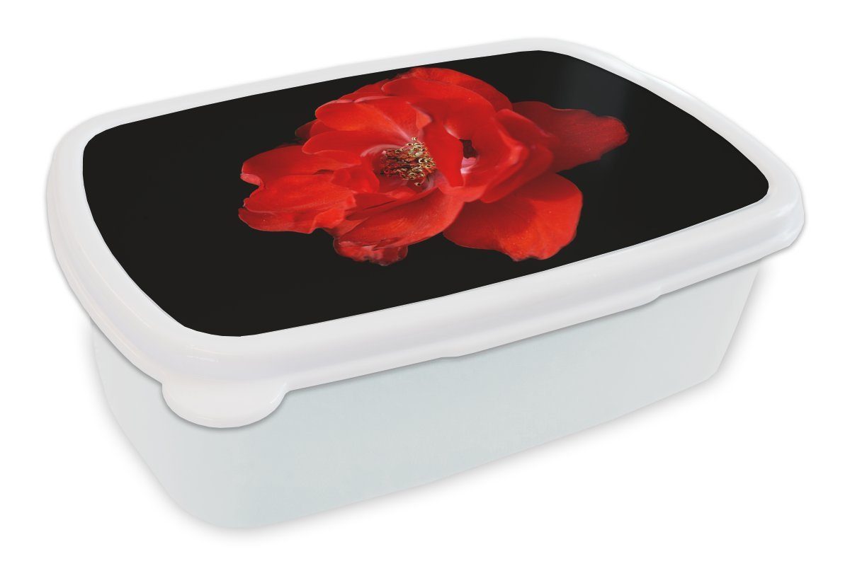MuchoWow Lunchbox Eine rote Pfingstrose auf schwarzem Hintergrund, Kunststoff, (2-tlg), Brotbox für Kinder und Erwachsene, Brotdose, für Jungs und Mädchen weiß