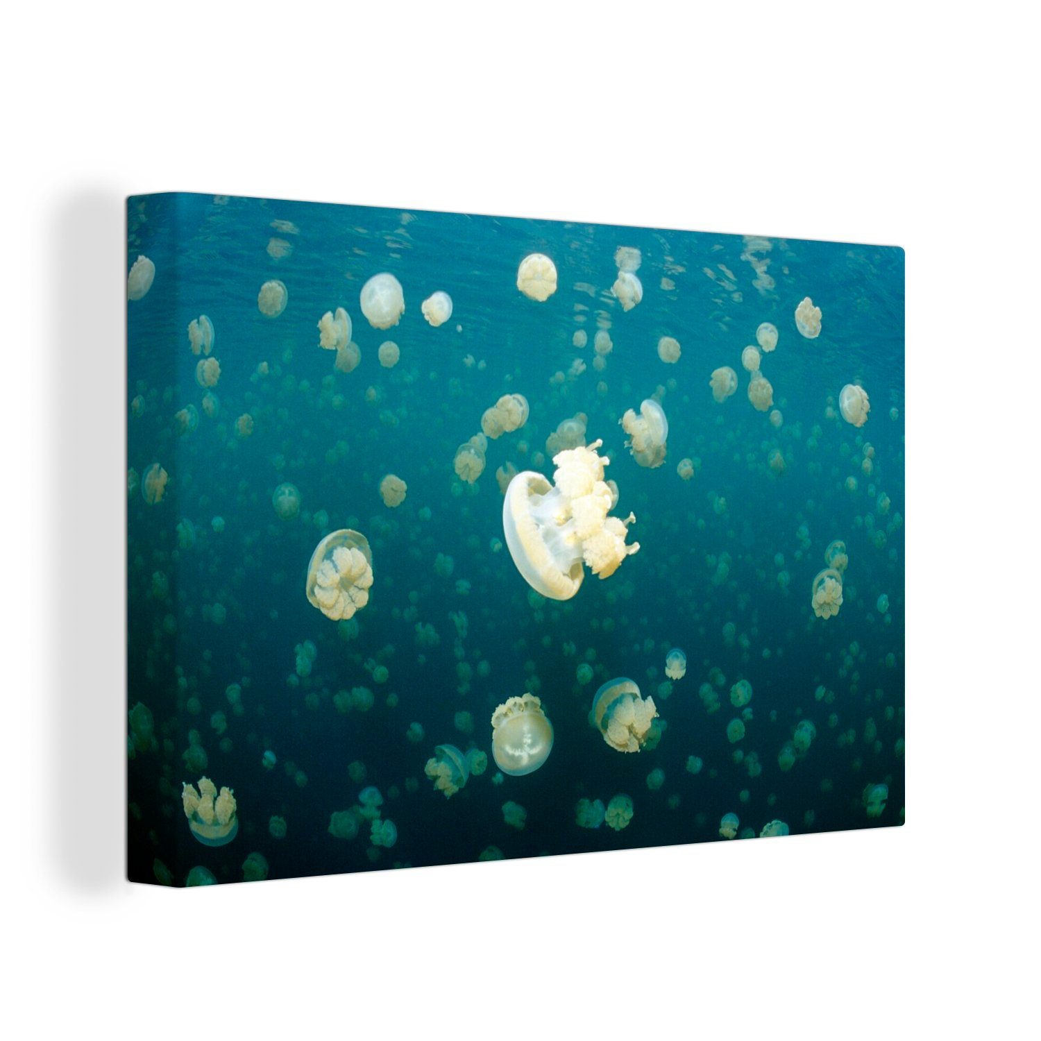 OneMillionCanvasses® Leinwandbild Qualle - Ozean - Wasser, (1 St), Wandbild Leinwandbilder, Aufhängefertig, Wanddeko, 30x20 cm
