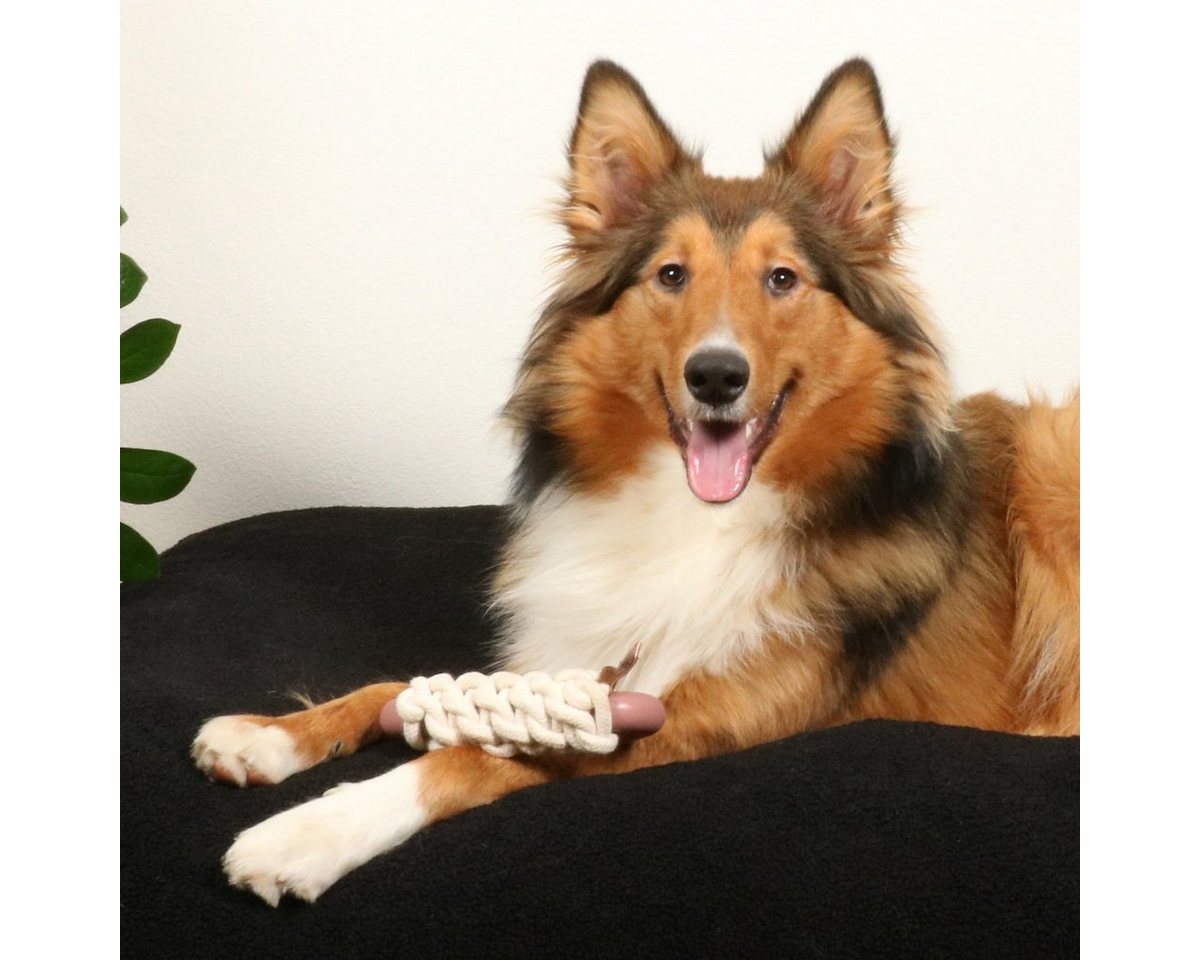 Thumbnail - D&D Zerrspielzeug Hundespielzeug Milan Rosewood rosa