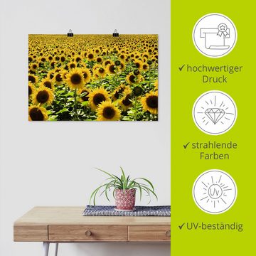 Artland Wandbild Sonnenblumenfeld, Blumen (1 St), als Alubild, Outdoorbild, Leinwandbild, Poster in verschied. Größen