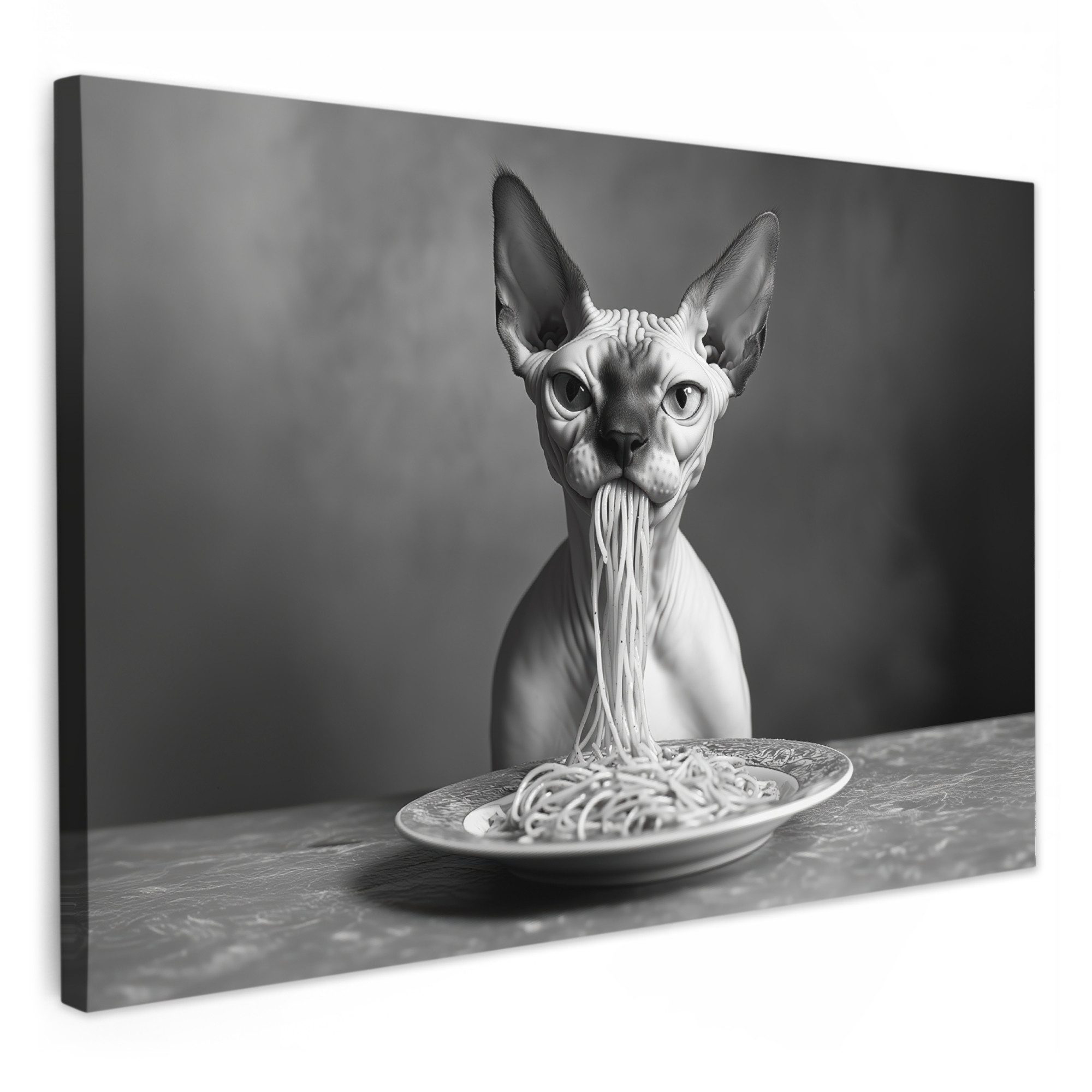 OneMillionCanvasses® Leinwandbild Sphynx - Katze - Tiere - Humor - Spaghett günstig online kaufen