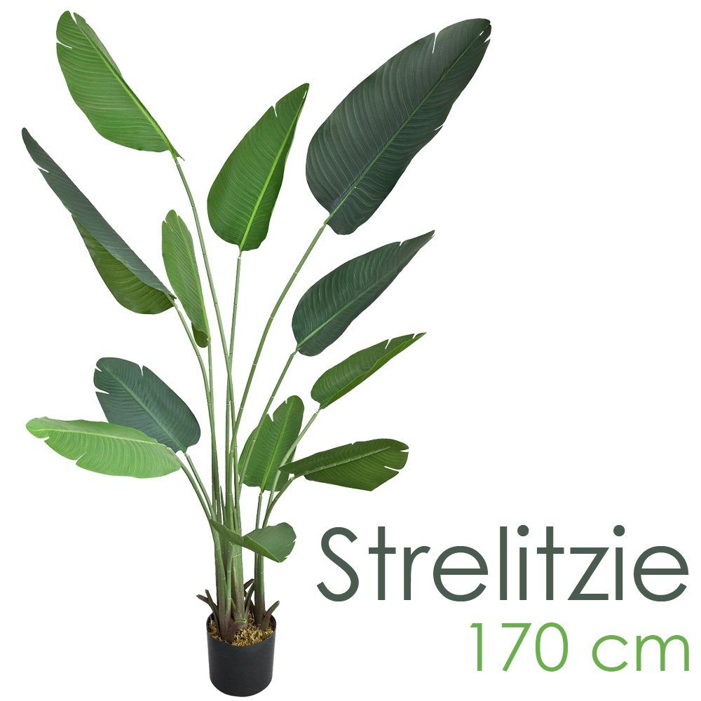 Kunstpflanze Strelitzie Paradiesvogelblume Kunstpflanze Künstliche Pflanze 170 cm, Decovego, Höhe 170 cm