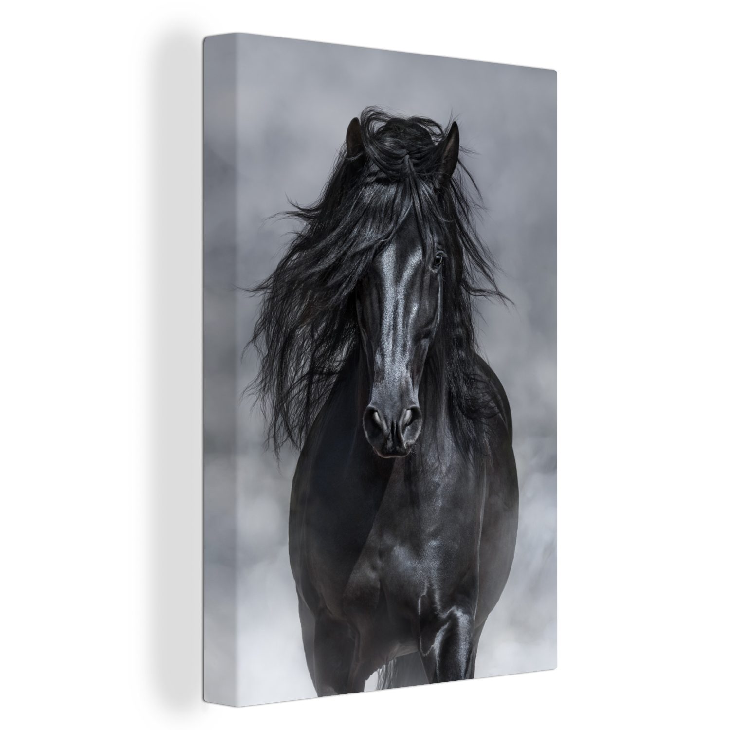 OneMillionCanvasses® Leinwandbild Pferd - Grau - günstig online kaufen