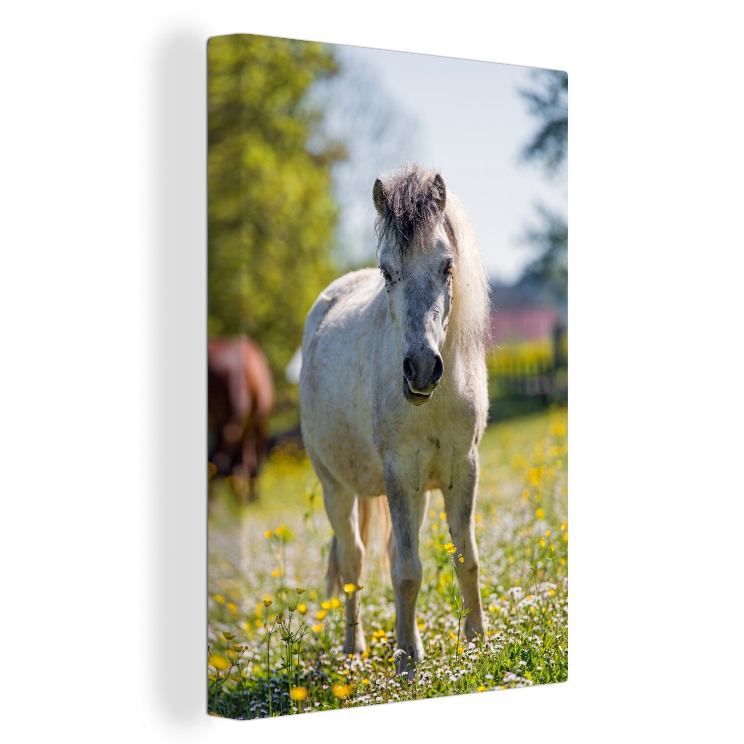 OneMillionCanvasses® Leinwandbild Pferd - Blumen - Licht, (1 St), Leinwandbild fertig bespannt inkl. Zackenaufhänger, Gemälde, 20x30 cm