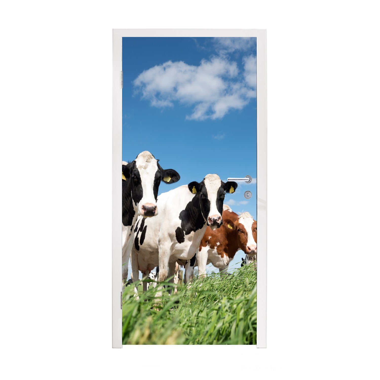 MuchoWow Türtapete Kühe - Landleben - Weide - Natur - Tiere, Matt, bedruckt, (1 St), Fototapete für Tür, Türaufkleber, 75x205 cm
