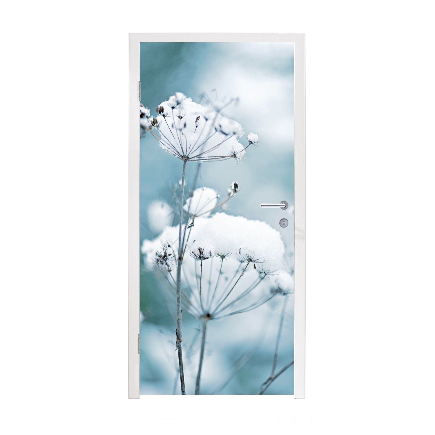 Blumen Zweige, Türaufkleber, Winter Türtapete MuchoWow (1 Schnee - cm Matt, Fototapete - 75x205 - St), bedruckt, für Tür,