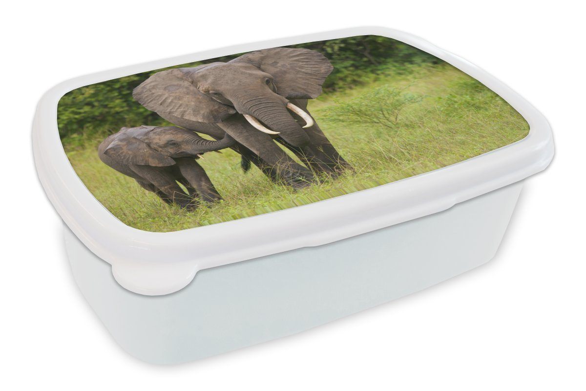 MuchoWow Lunchbox Elefant - Kalb - Landschaft, Kunststoff, (2-tlg), Brotbox für Kinder und Erwachsene, Brotdose, für Jungs und Mädchen weiß
