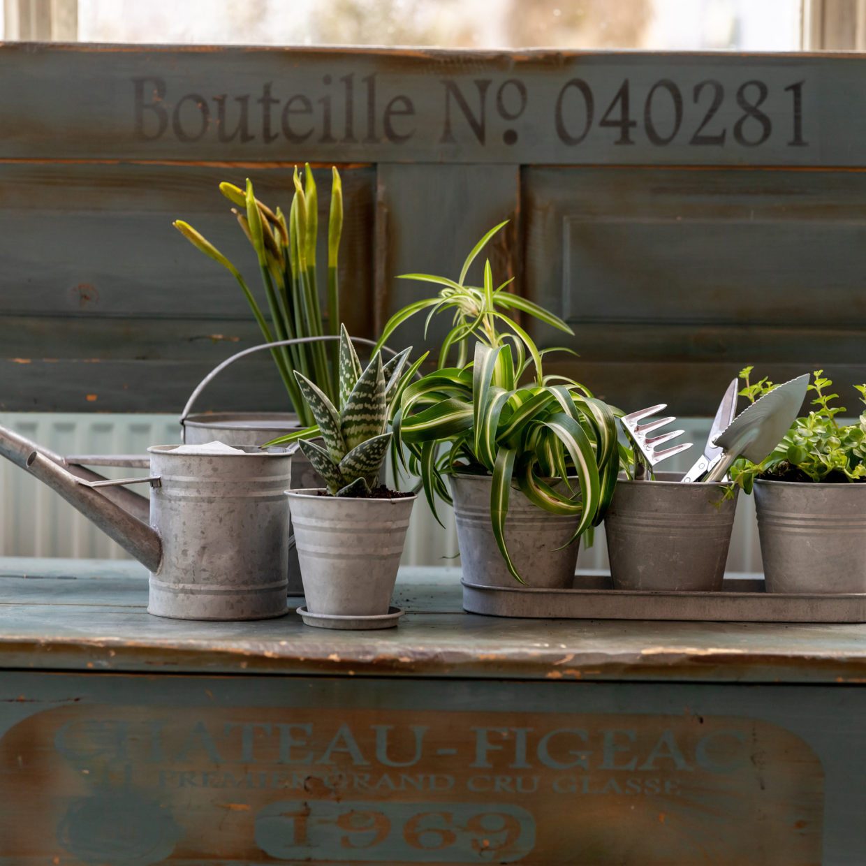 esschert design Gießkanne Gießkanne Altzink 6,5L – Nostalgische Zinkkanne für Garten & Balkon (1-tlg)