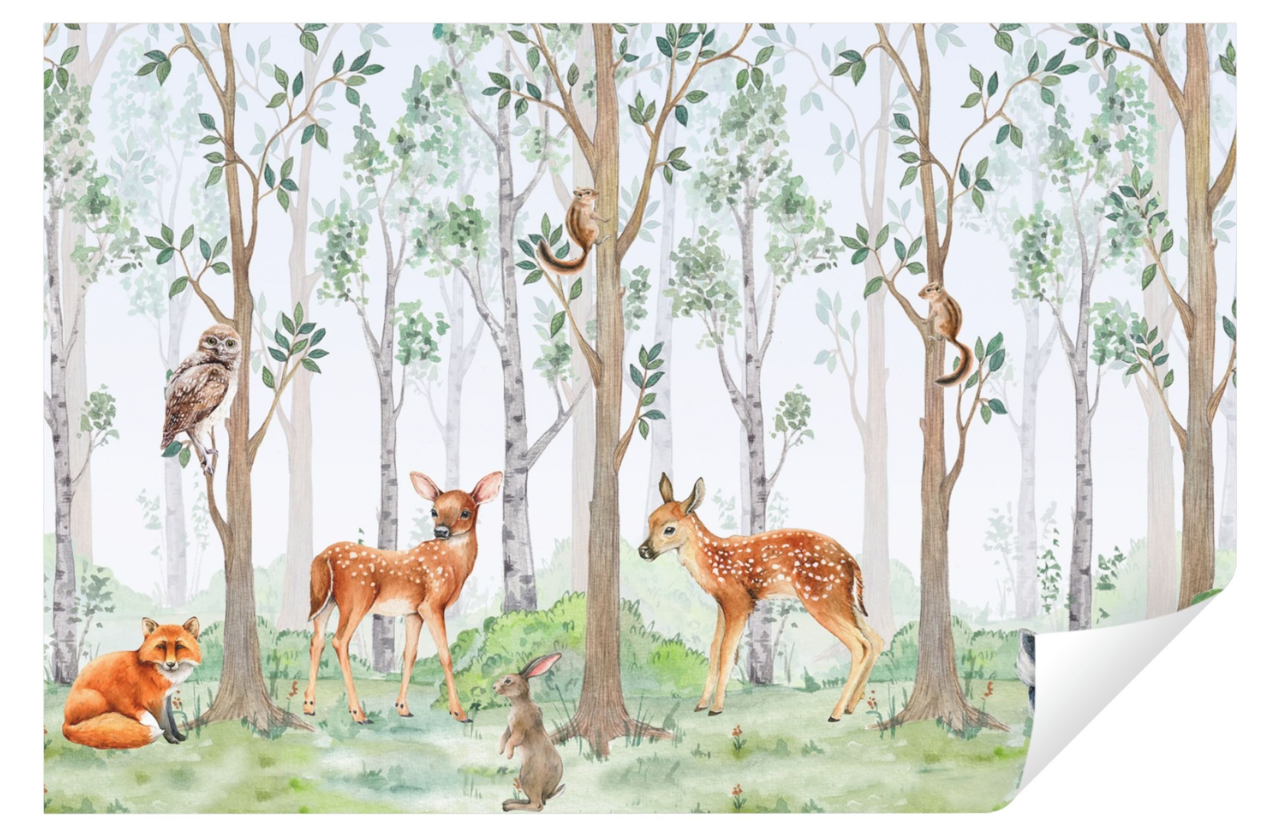 Wallarena Fototapete Kinderzimmer Mädchen Jungen Wald Tiere Jungenzimmer Mä günstig online kaufen