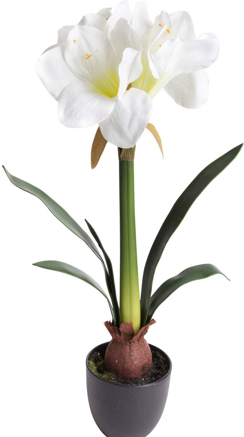 Amaryllis, cm, Individueller Amaryllis Schreibtisch Kommode Kunstblume den die Höhe Botanic-Haus, für oder Hingucker Fensterbank, 57