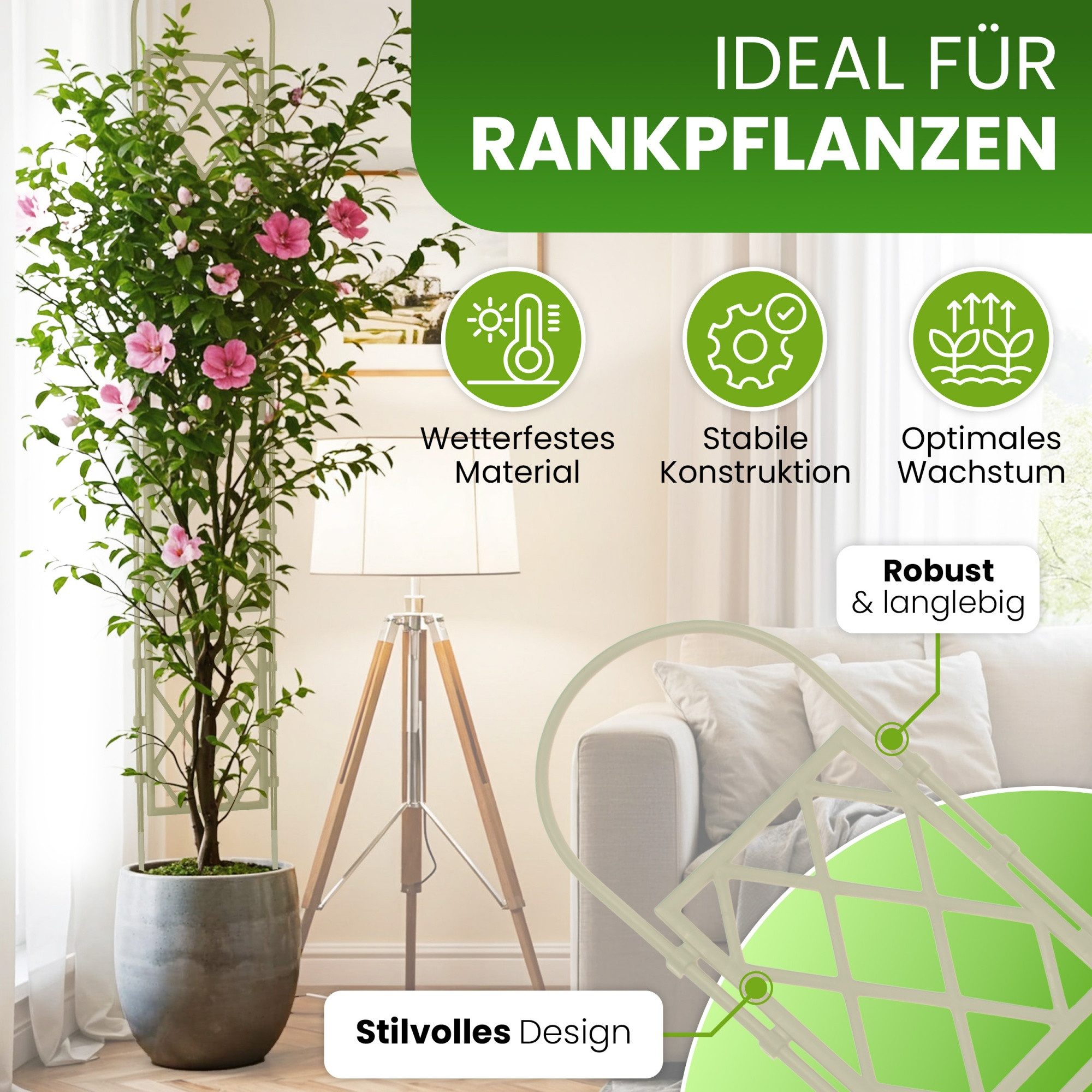 Gartenwelt Riegelsberger Rankhilfe Wandspalier mit Bogen günstig online kaufen
