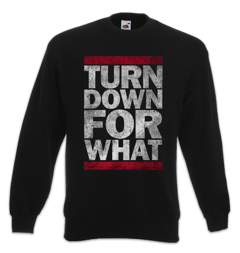 Sweatshirt Turn Down For What Sweatshirt Geek Nerd Music Musik Dance Disco Rave