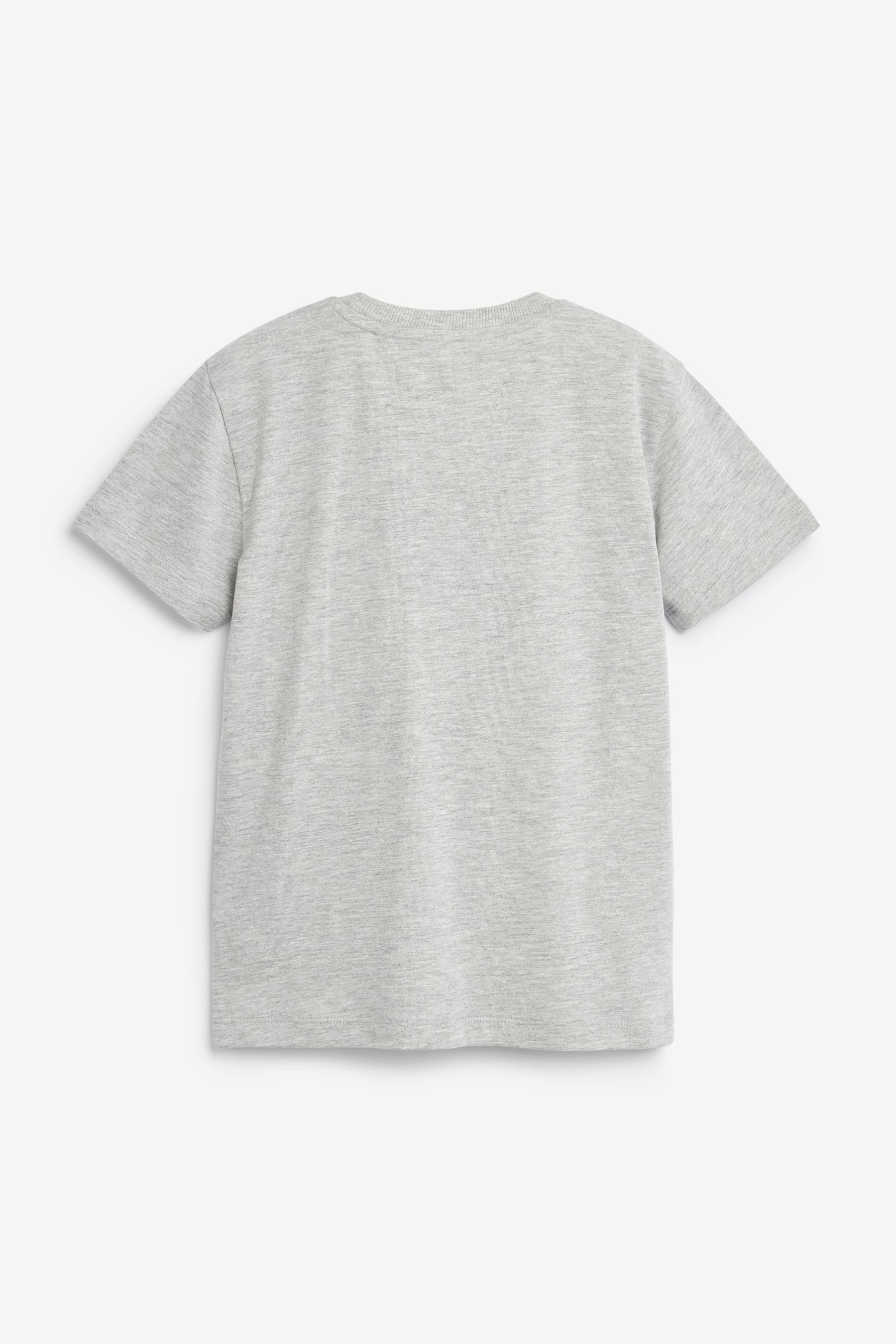 (1-tlg) Grey T-Shirt T-Shirt Next