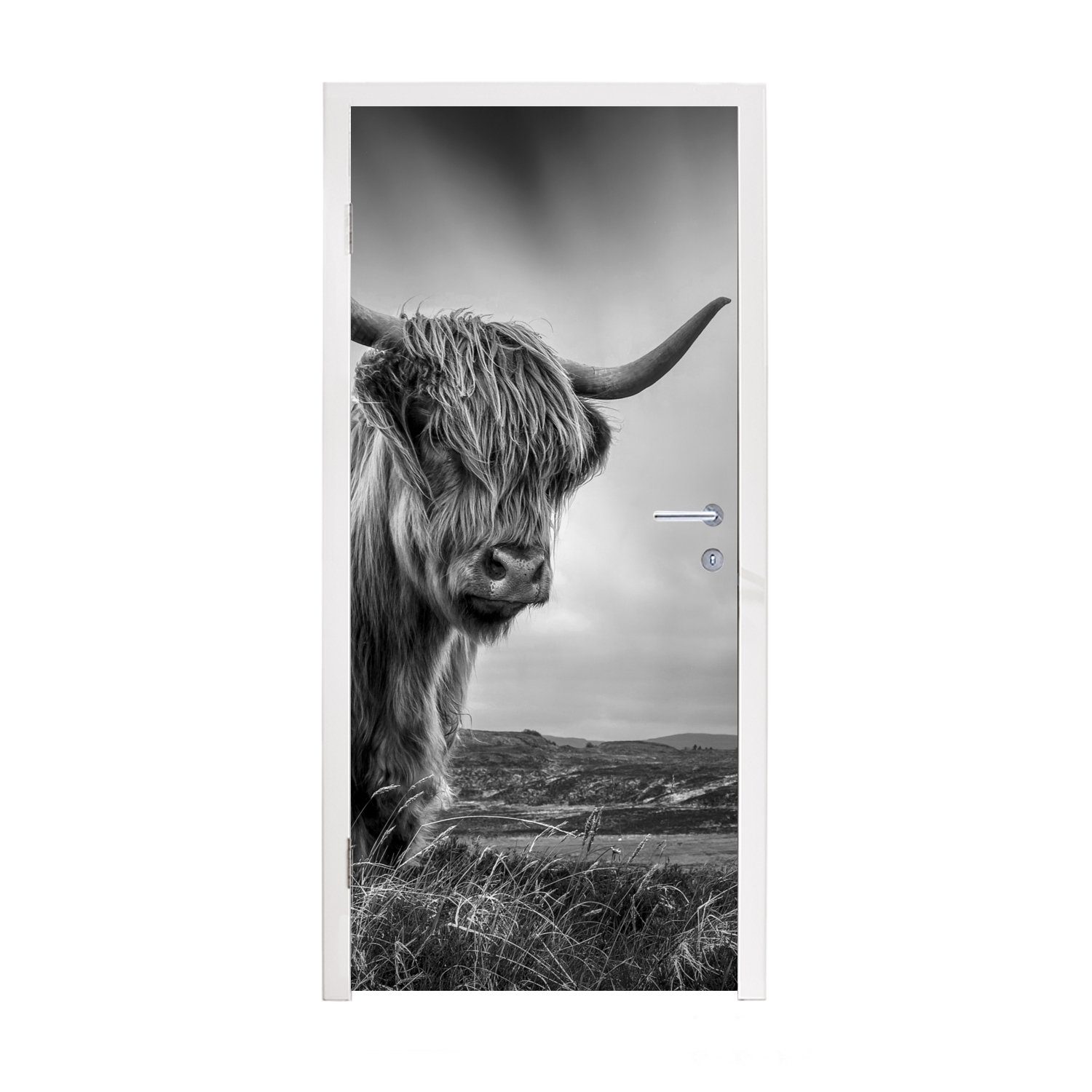 Fototapete Matt, Hochlandkühe - für - Natur bedruckt, (1 und weiß, Kühe Tür, MuchoWow Türtapete Tiere 75x205 Türaufkleber, - St), Schwarz cm - Schottische