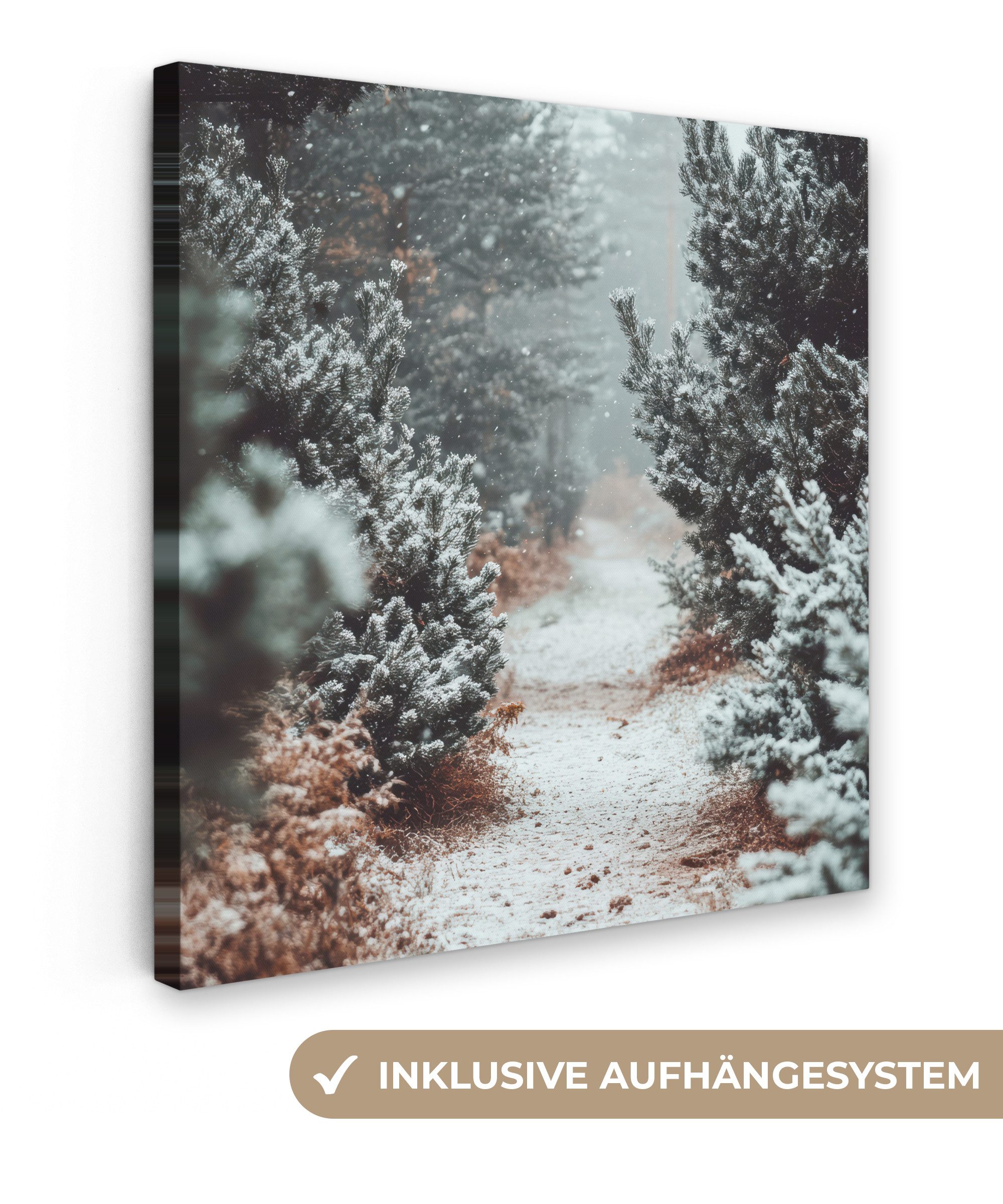 OneMillionCanvasses® Leinwandbild Wald - Winter - Bäume - Natur - Weg - Sch günstig online kaufen