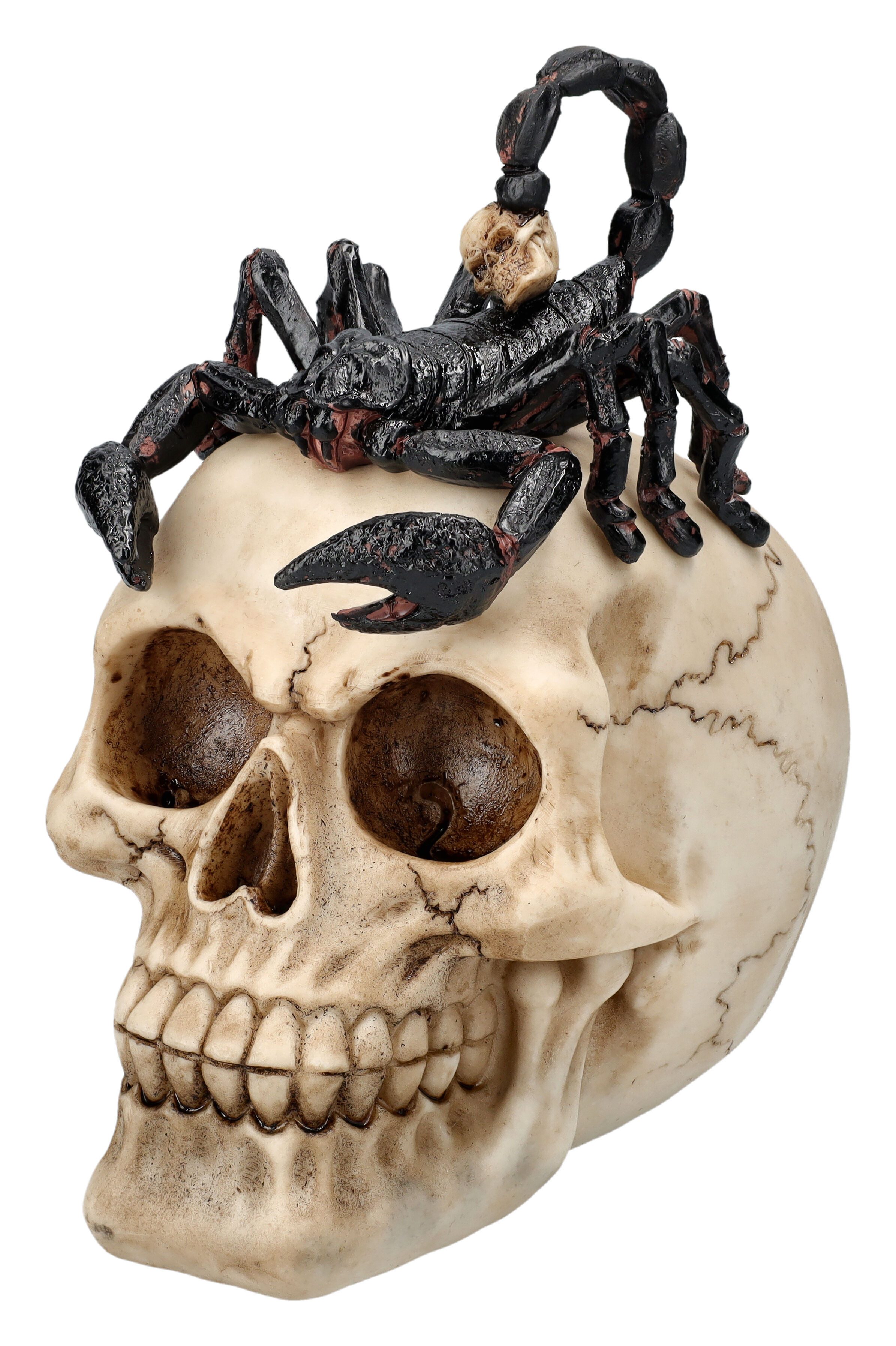 Figuren Shop GmbH Dekofigur Totenschädel Figur mit Skorpion Totenkopf Gothi günstig online kaufen