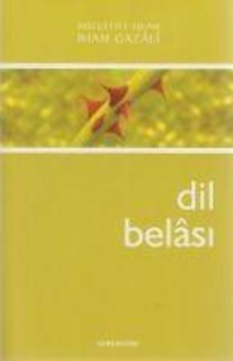Dil Belasi / Imam-I Gazali