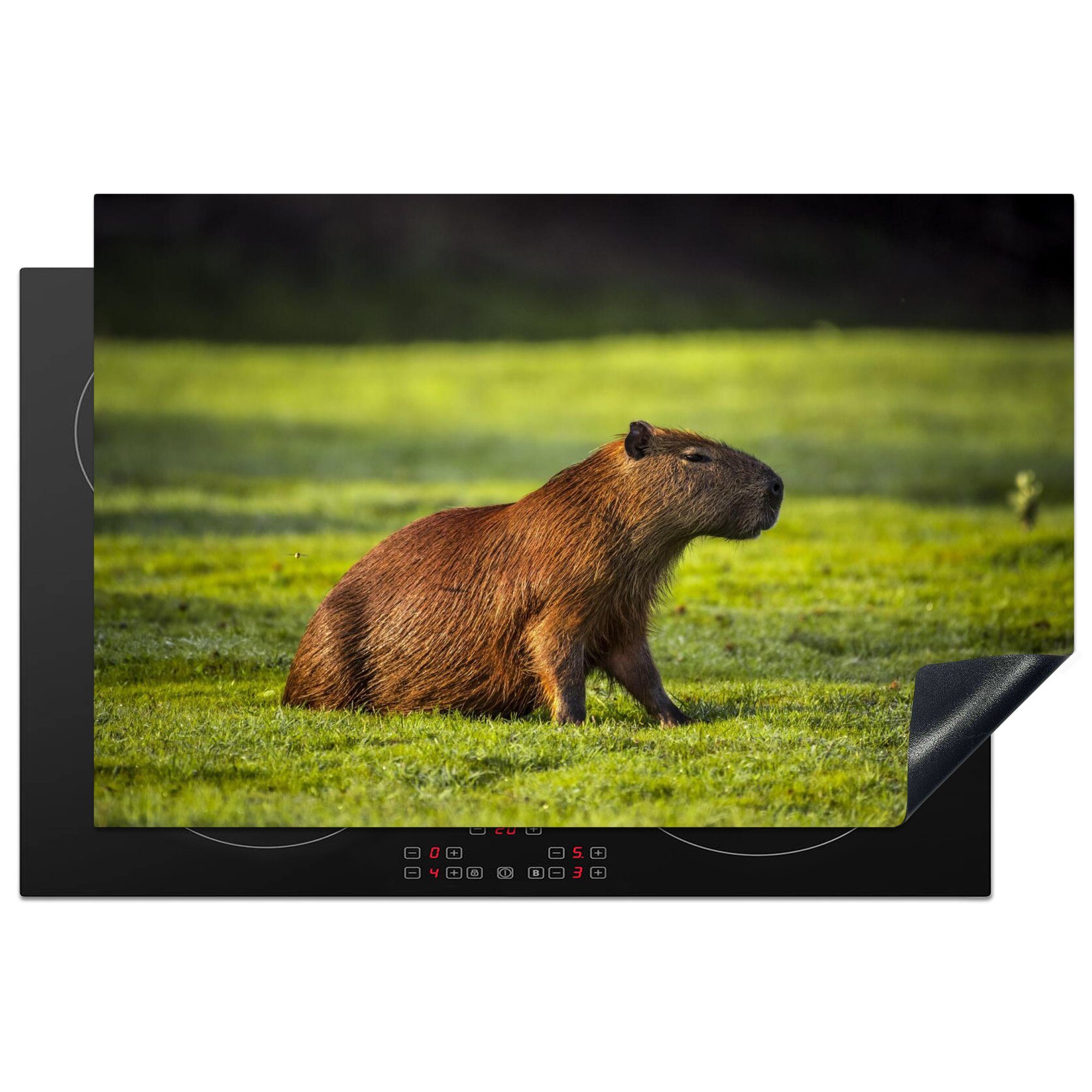 MuchoWow Herdblende-/Abdeckplatte Goldene Sonnenstrahlen über dem Capybara, Vinyl, (1 tlg), 81x52 cm, Induktionskochfeld Schutz für die küche, Ceranfeldabdeckung