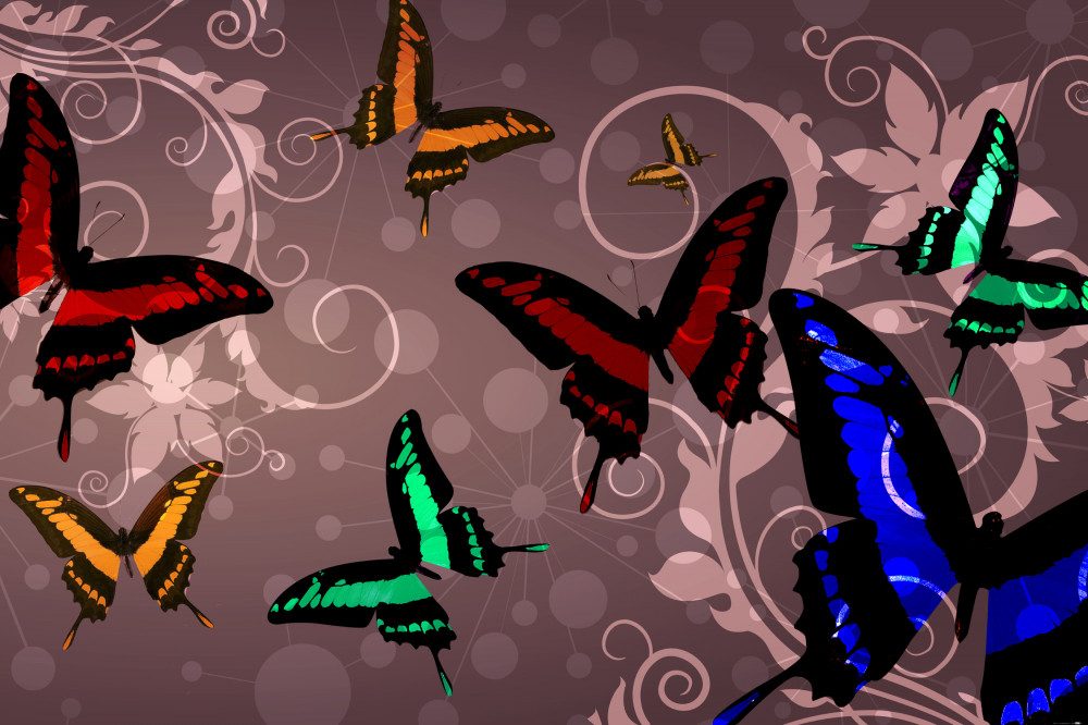 1art1 Poster Schmetterlinge Kunstdruck Bild - Schmetterlinge Und