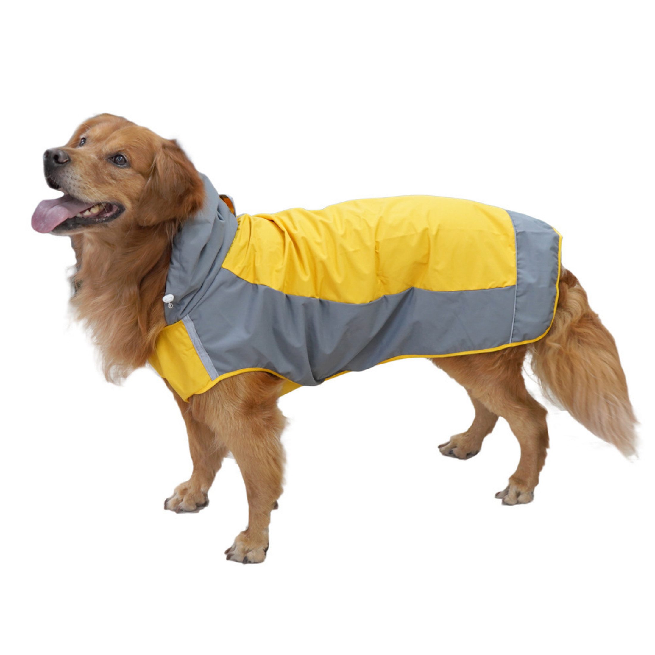 autolock Hunderegenmantel Wasserdichte Outdoor-Hundejacke für Hunde, Leichter Regenmantel für Freizeit & Spaziergänge