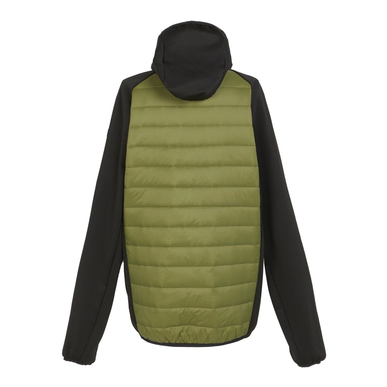 Regatta Steppjacke Softshelljacke Steppjacke Andreson VIII günstig online kaufen