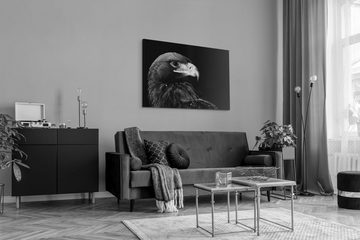 Sinus Art Leinwandbild 120x80cm Wandbild auf Leinwand Schwarz Weiß Tierfotografie Adler Raubv, (1 St)