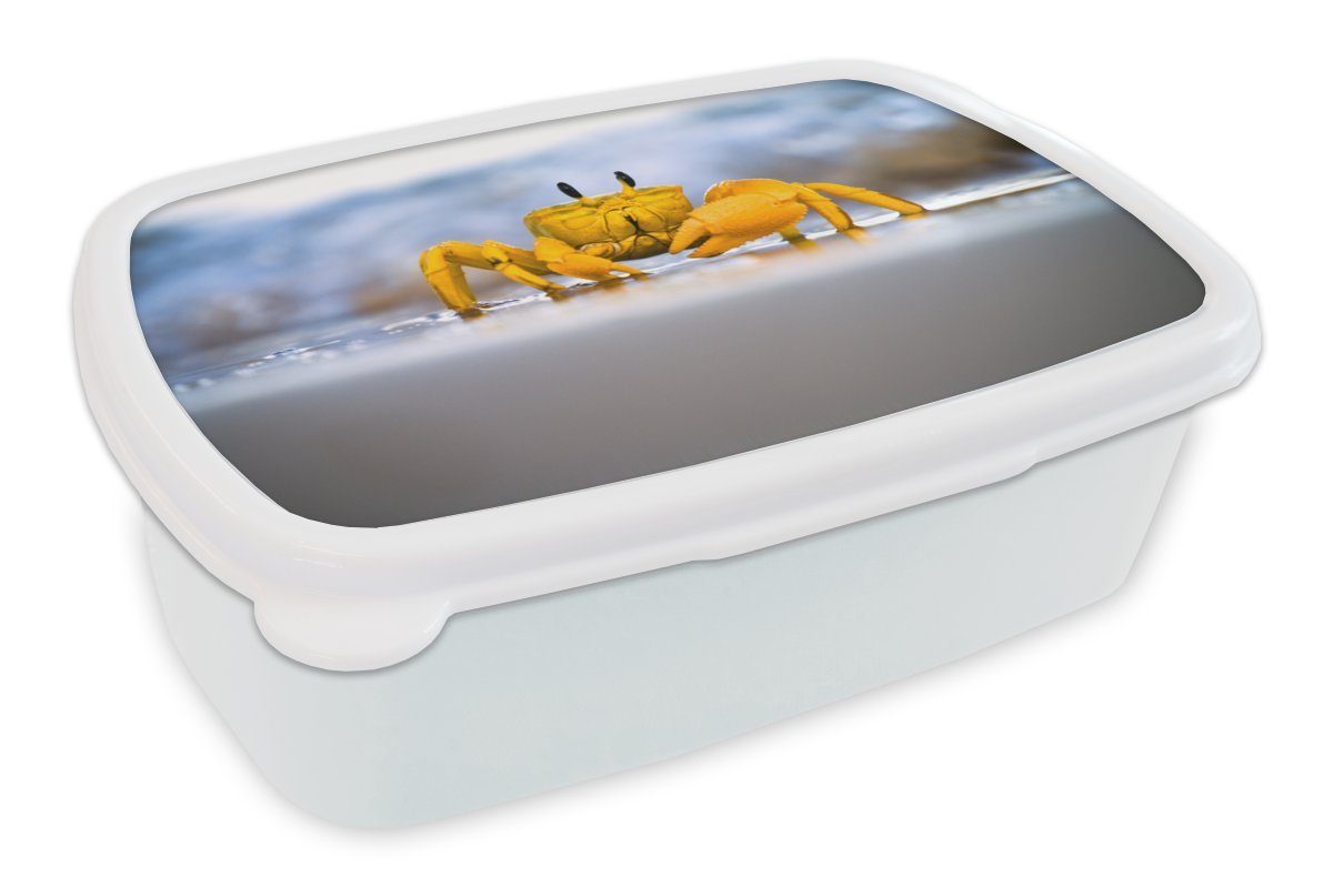 MuchoWow Lunchbox Krabbe - Strand - Meer, Kunststoff, (2-tlg), Brotbox für Kinder und Erwachsene, Brotdose, für Jungs und Mädchen weiß