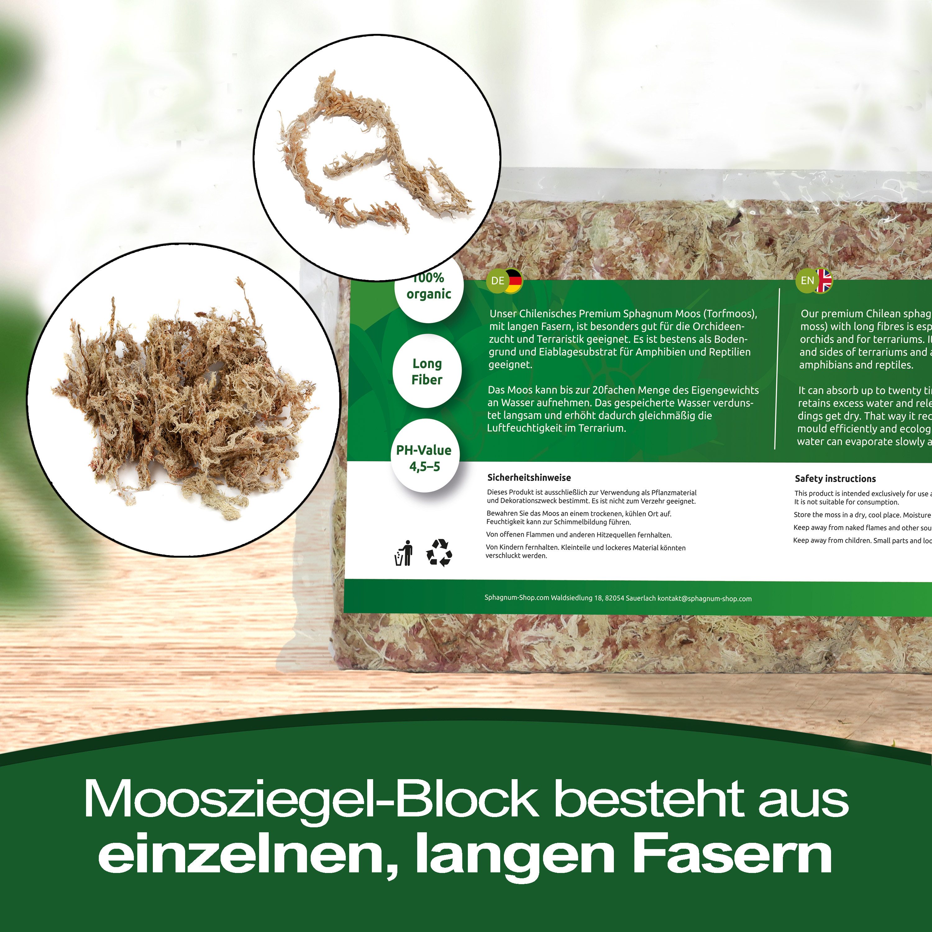 sphagnum-shop.com Terrarien-Substrat Sphagnum Moos Moosziegel aus Chile für Terrarium und Orchideen, Chilenische Premium-Qualität, Ideal für Pflanzenpflege & Te – Bild 4 von 5