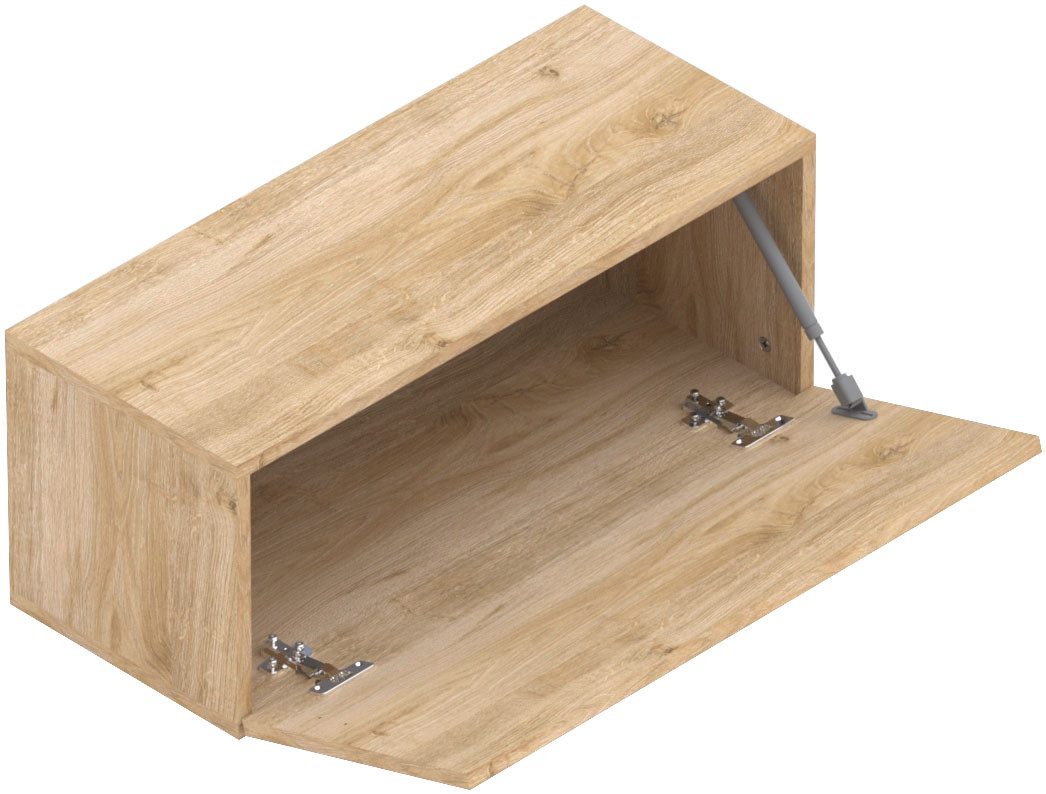 INOSIGN Hängevitrine Infinity Breite 69 cm, Höhe 29 cm, Hängeschrank mit 1 günstig online kaufen