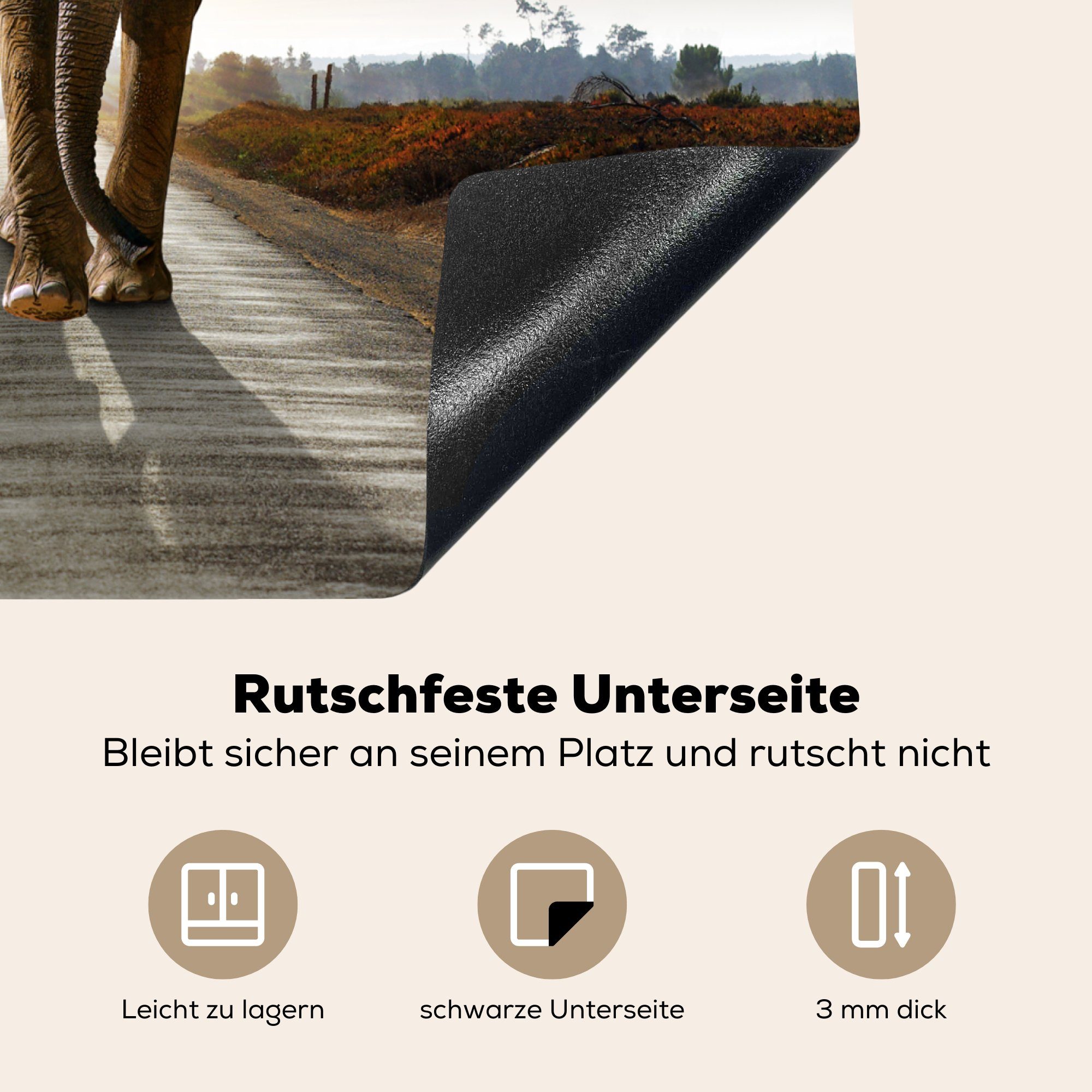 Vinyl, Sonnenuntergang MuchoWow Herdblende-/Abdeckplatte Landschaft, Induktionskochfeld, Ceranfeldabdeckung cm, - Induktionsschutz, Tiere 59x51 - - - Straße (1 tlg), Elefant