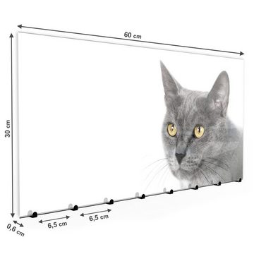 Primedeco Garderobenpaneel Magnetwand und Memoboard aus Glas Graue Katze vor heller Wand