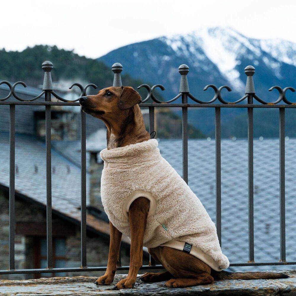 FuzzYard LIFE Hundepullover Teddy Hunde Sweater - weich und kuschelig, in verschiedenen Größen