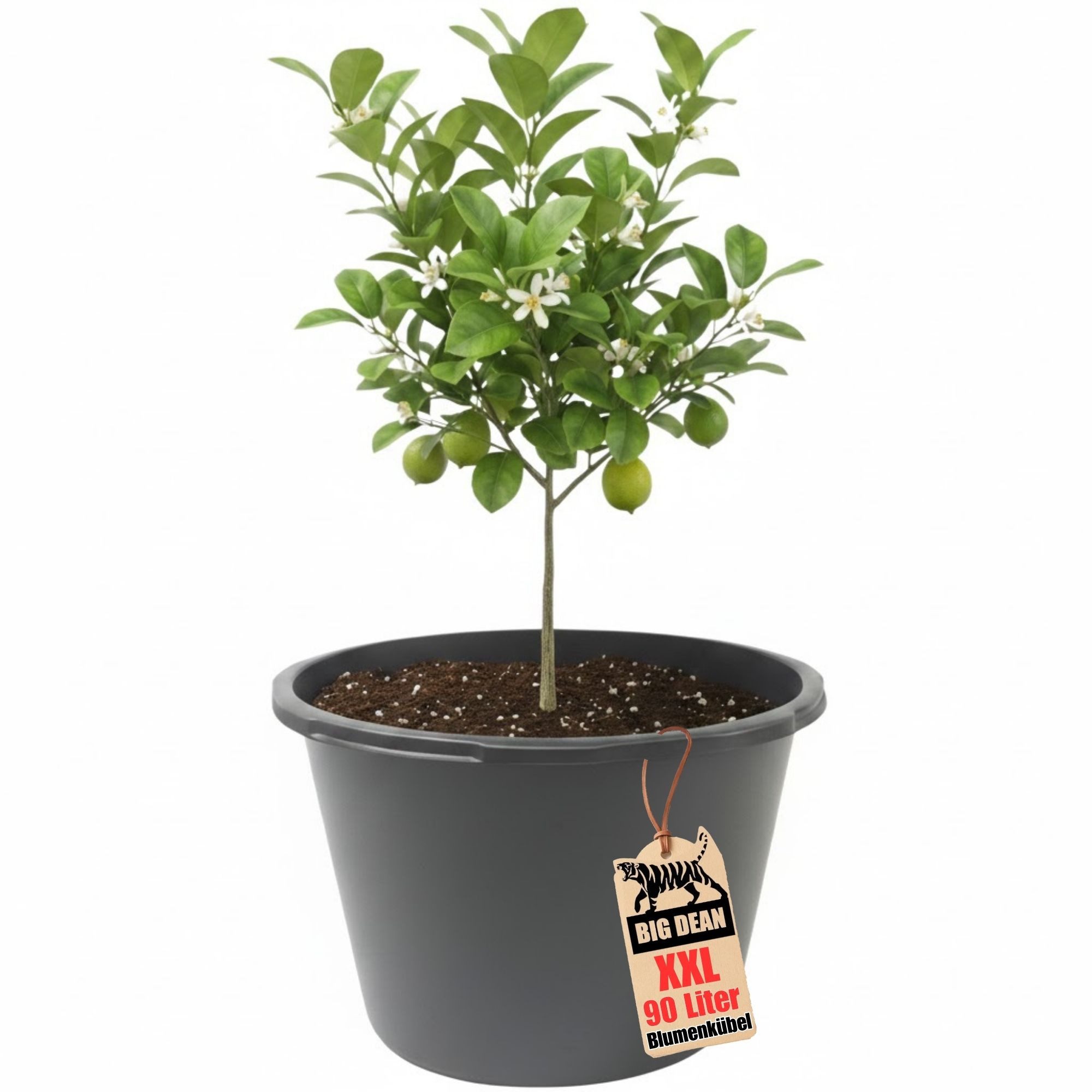BigDean Mörtelkübel Blumenkübel XXL 90 Liter 43cm hoch 63cm Durchmesser Made in Europe, (Stück, 1-tlg., Pflanzkübel), Frostsicher, formstabil und wasserdicht
