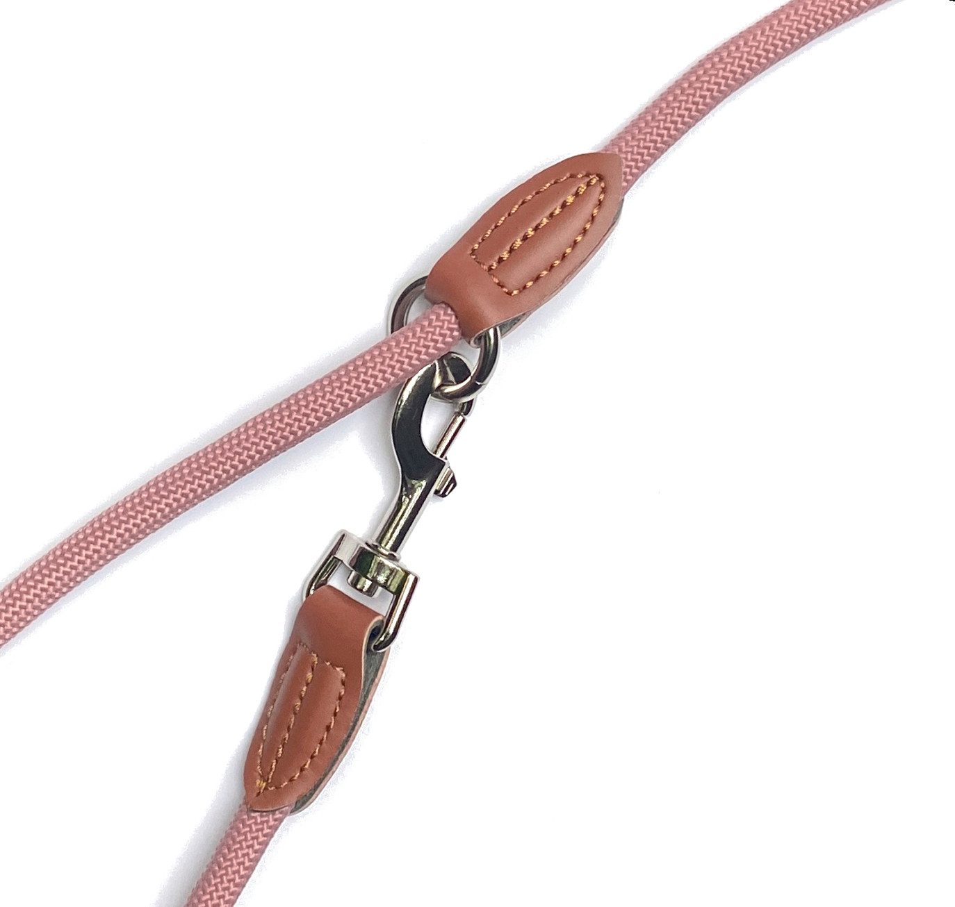 Leisegrün Hundeleine Hundeleine große Hunde Führleine 3m verstellbar mit 2 Karabiner, Nylon
